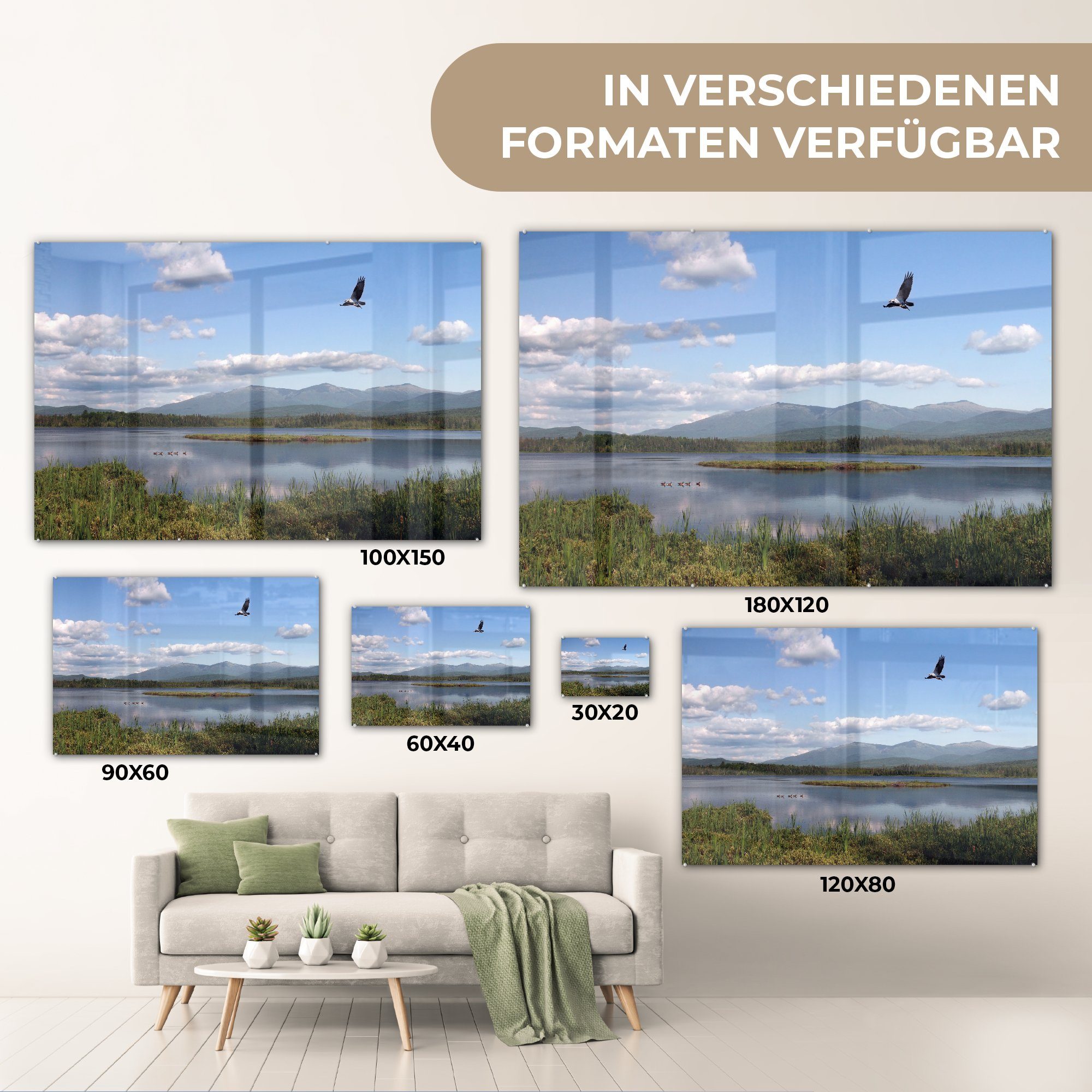 MuchoWow Acrylglasbild Vogel mit Beute Hampshire, See Wohnzimmer & (1 New über Acrylglasbilder St), in einem Schlafzimmer