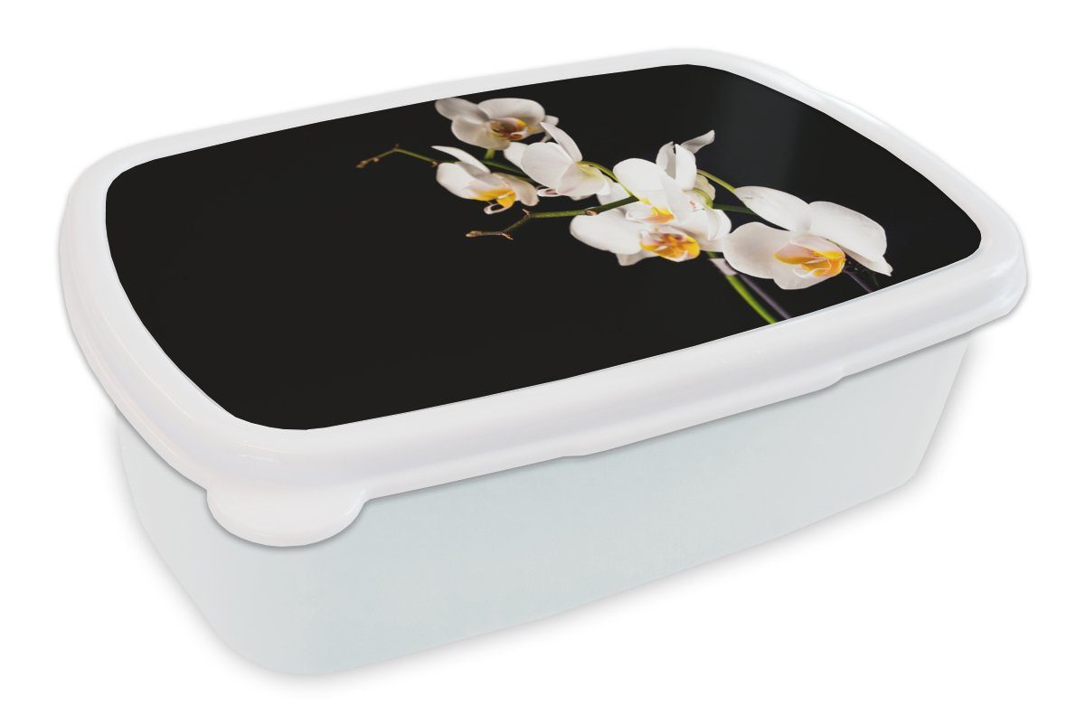 MuchoWow Lunchbox Orchidee - Blumen - Pflanzen - Botanisch, Kunststoff, (2-tlg), Brotbox für Kinder und Erwachsene, Brotdose, für Jungs und Mädchen weiß