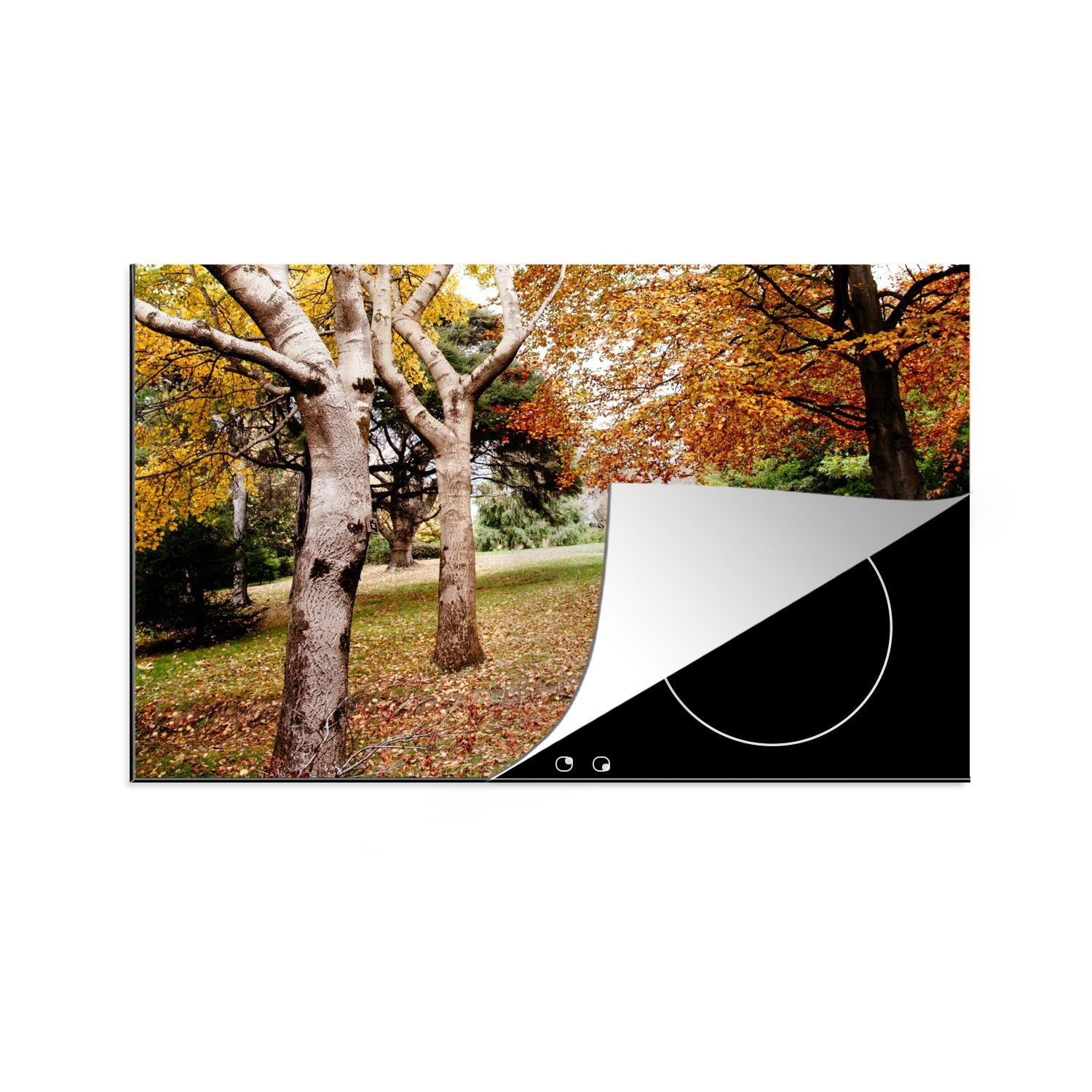 MuchoWow Herdblende-/Abdeckplatte Herbst - Bäume - Laub - Natur, Vinyl, (1 tlg), 80x52 cm, Induktionskochfeld Schutz für die küche, Ceranfeldabdeckung