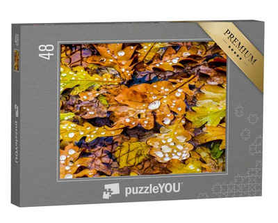 puzzleYOU Puzzle Herbstszenerie: Eichenblätter am Boden, 48 Puzzleteile, puzzleYOU-Kollektionen Flora, Pflanzen, Blumen & Pflanzen