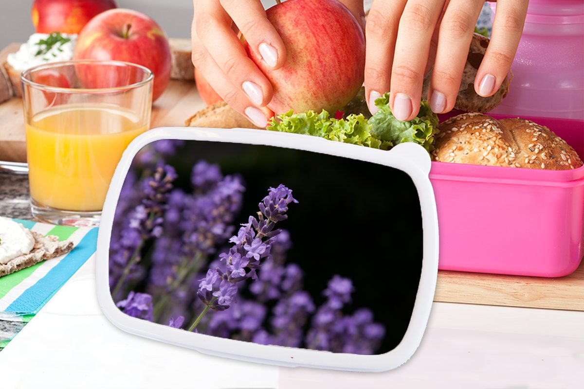 Erwachsene, Kunststoff Snackbox, Hintergrund, Brotdose Kunststoff, von lila Brotbox für rosa MuchoWow Lavendel Kinder, auf (2-tlg), Nahaufnahme Mädchen, schwarzem Lunchbox