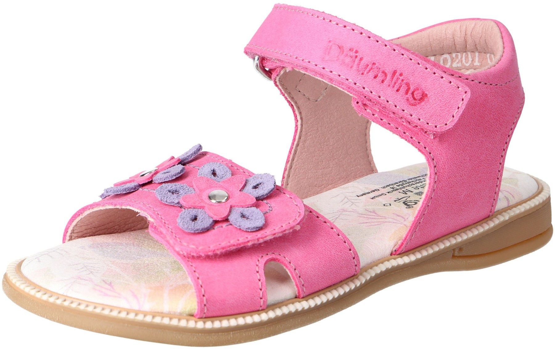 Sunrise begonia Kaltfutter S