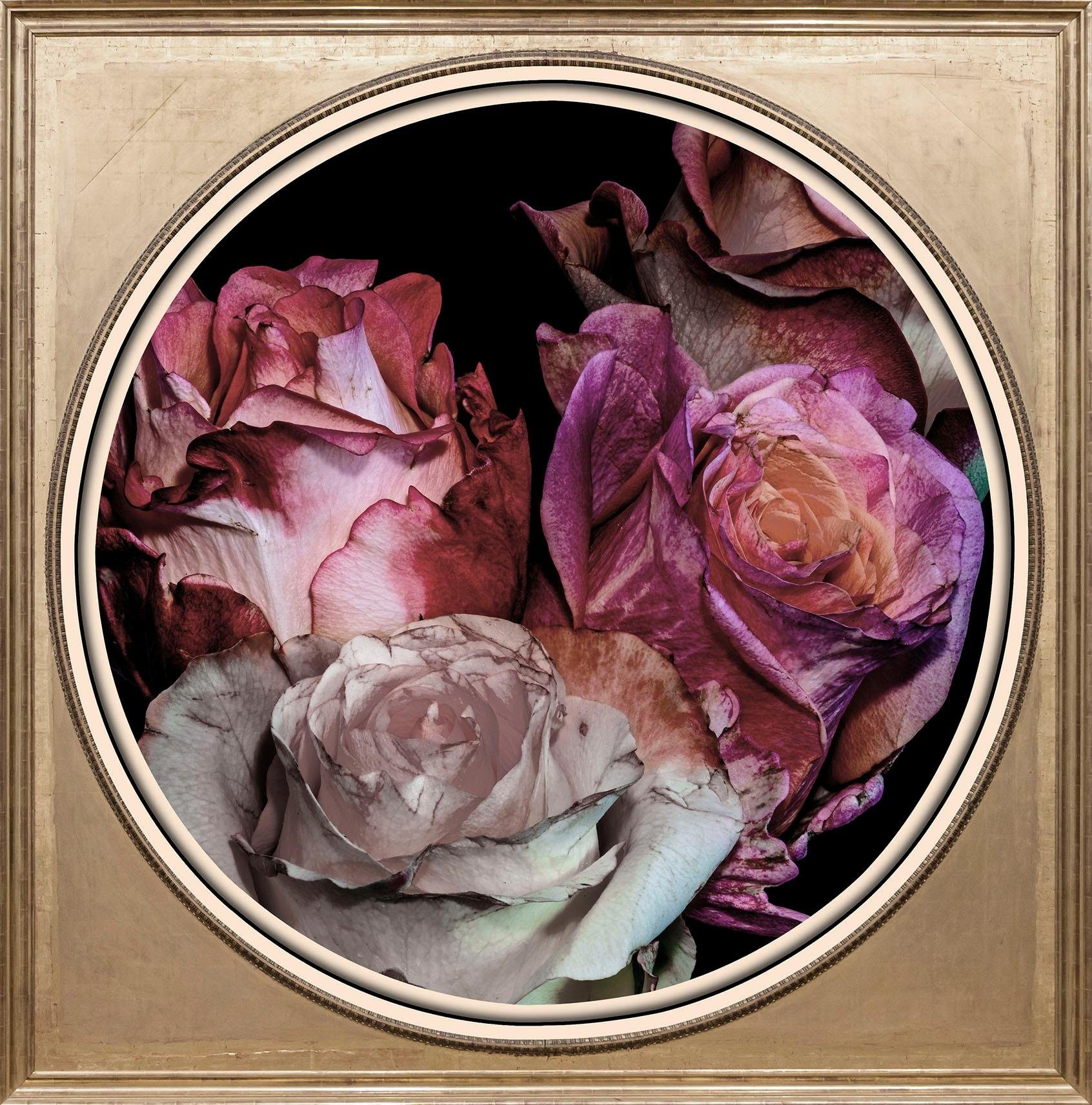 queence Acrylglasbild Getrocknete Rosen