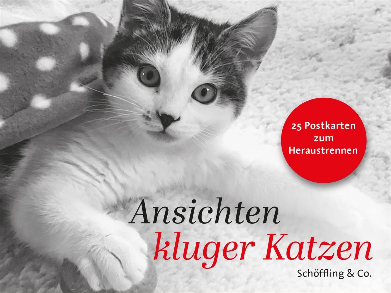 Ansichten kluger Katzen / diverse