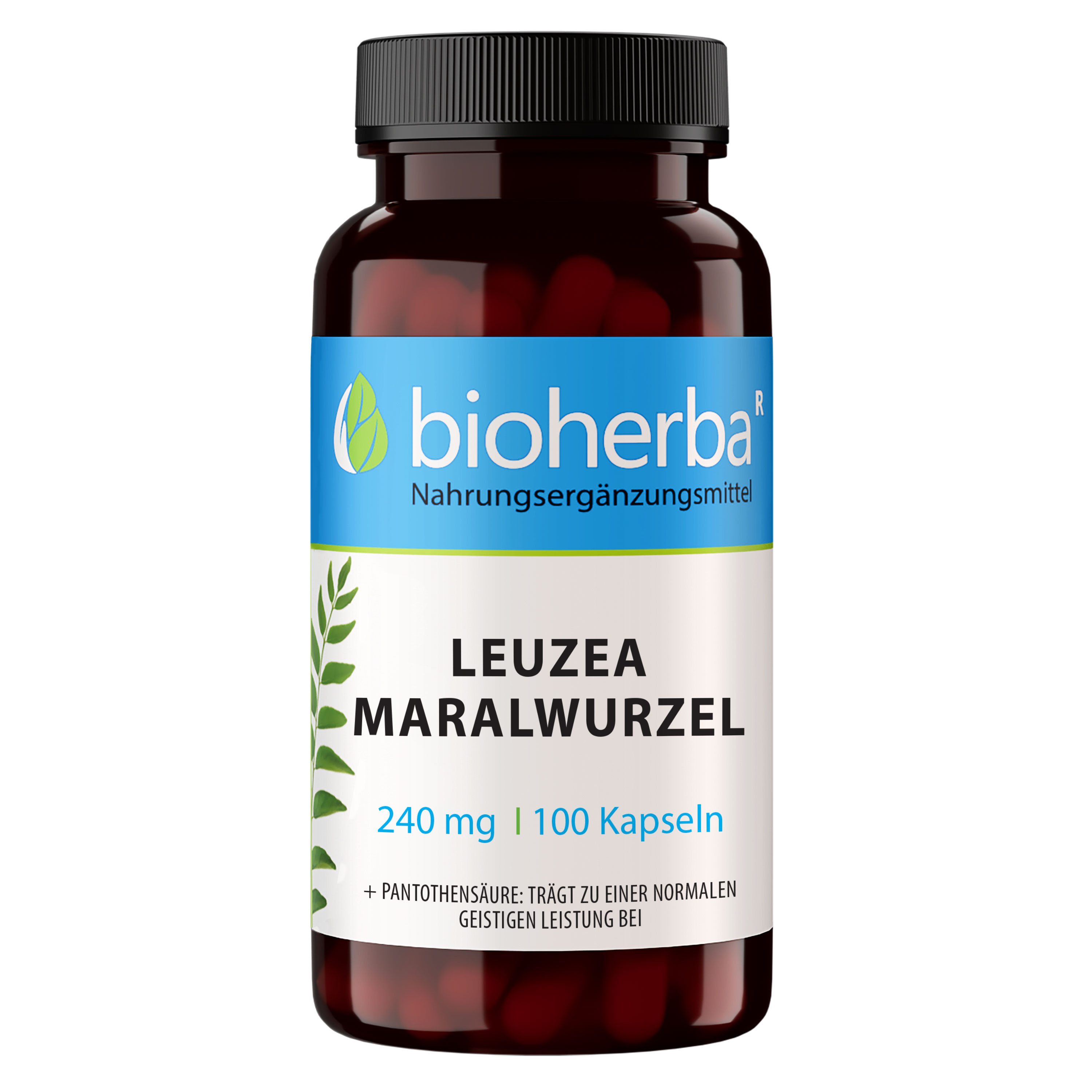 BIOHERBA R Bioherba Leuzea Maralwurzel 240 mg 100 Kapseln Nahrungsergänzungsmittel, 1 er