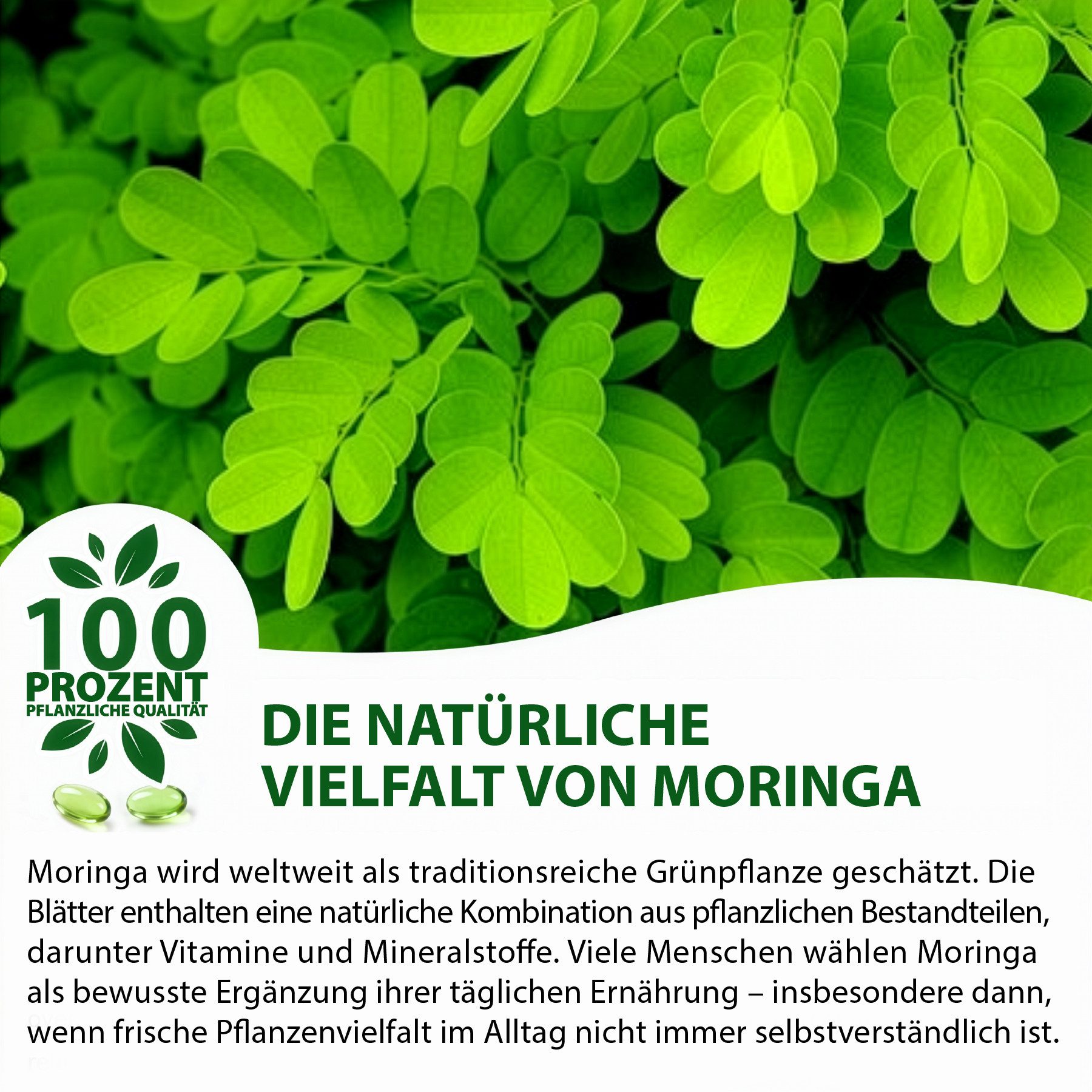 P-Beauty Cosmetic Accessories Moringa Blattpulver Softgels Kapseln 6000mg Hochdosiert Vegan 240 St Kapseln, 240 er, Ergänzungsmittel, Nahrungsergänzungskapseln, Softgels, Moringa