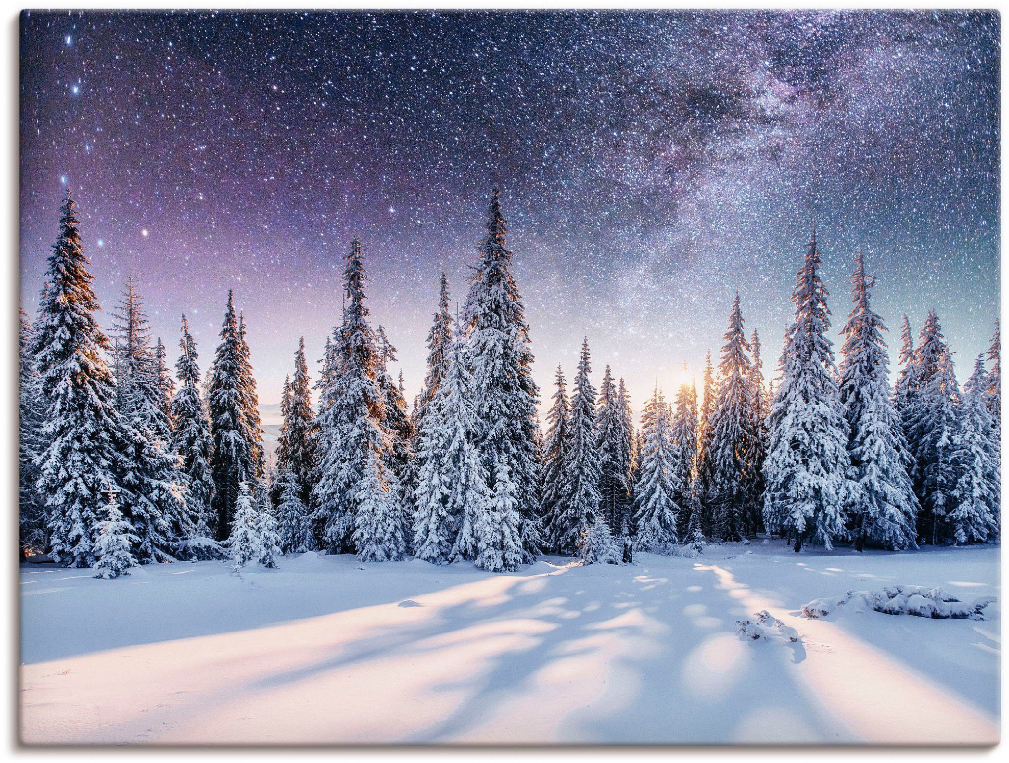 Artland Wandbild »Tannenwald im Schnee vorm Sternenhimmel«, Berge & Alpenbilder (1 Stück), in vielen Größen & Produktarten - Alubild / Outdoorbild für den Außenbereich, Leinwandbild, Poster, Wandaufkleber / Wandtattoo auch für Badezimmer geeignet-Otto