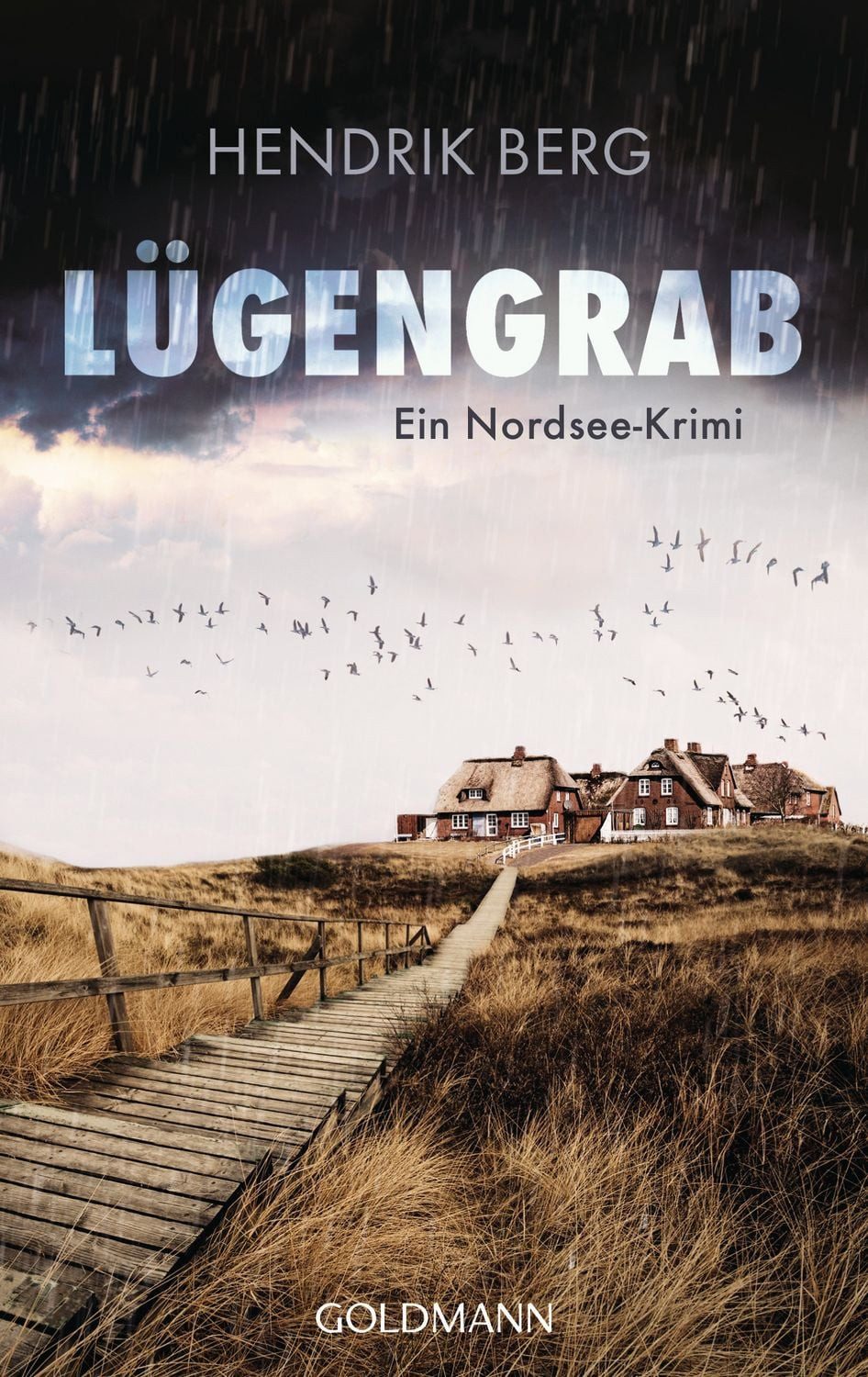 Lügengrab Ein Nordsee-Krimi / Hendrik Berg