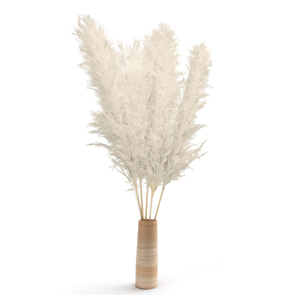 Trockenblume Jumbo Pampasgras 5 Stiele Gelb-120cm Trockenblumenstrauß modern