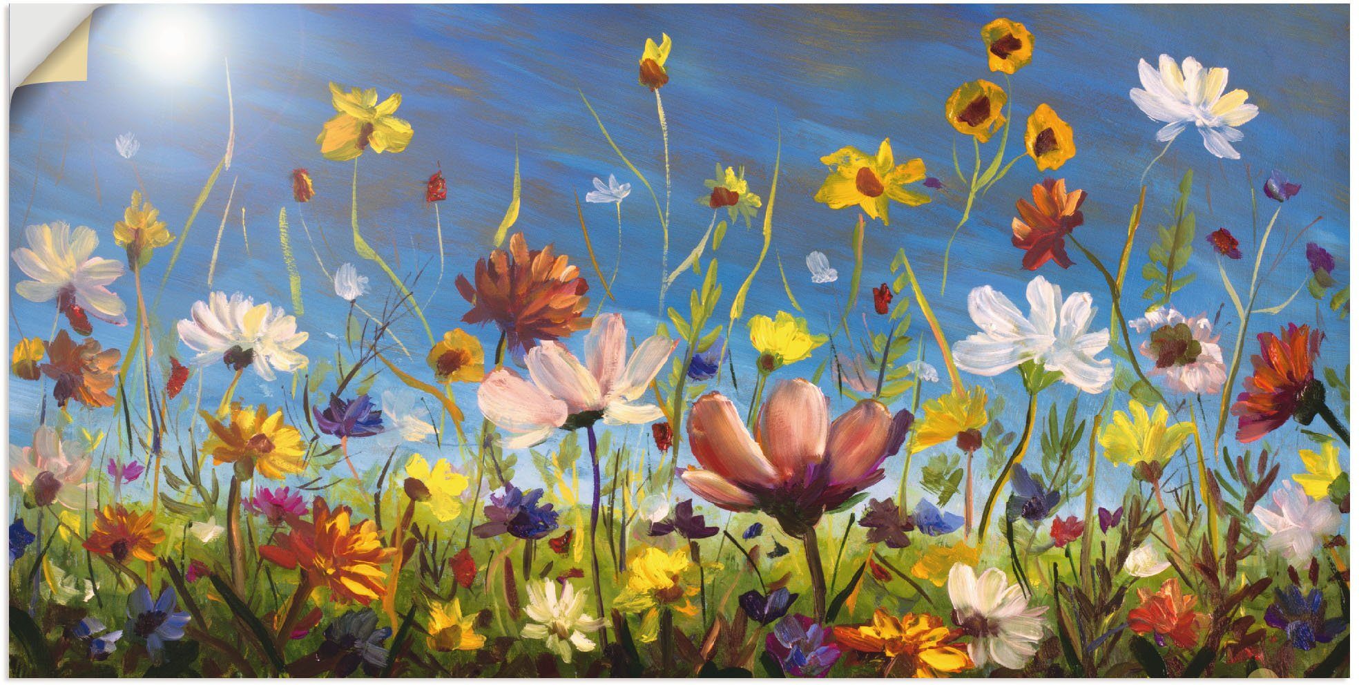 Artland Wandbild Wildblumenwiese blauer Himmel, Blumenwiese günstig online kaufen