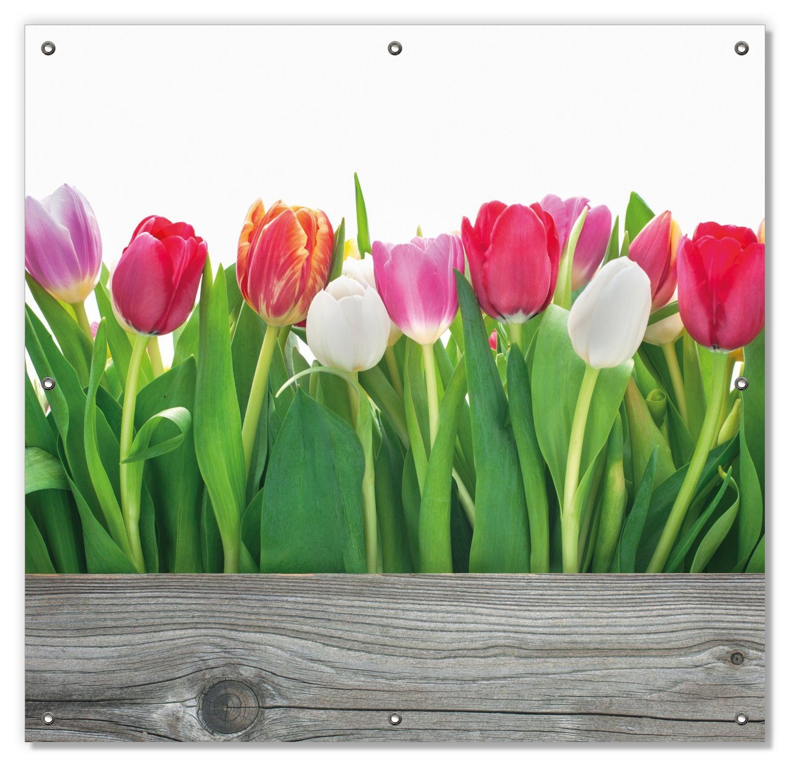 Sonnenschutz Rote weiße und pinke Tulpen im Frühling, Wallario, blickdicht, mit Saugnäpfen, wiederablösbar und wiederverwendbar