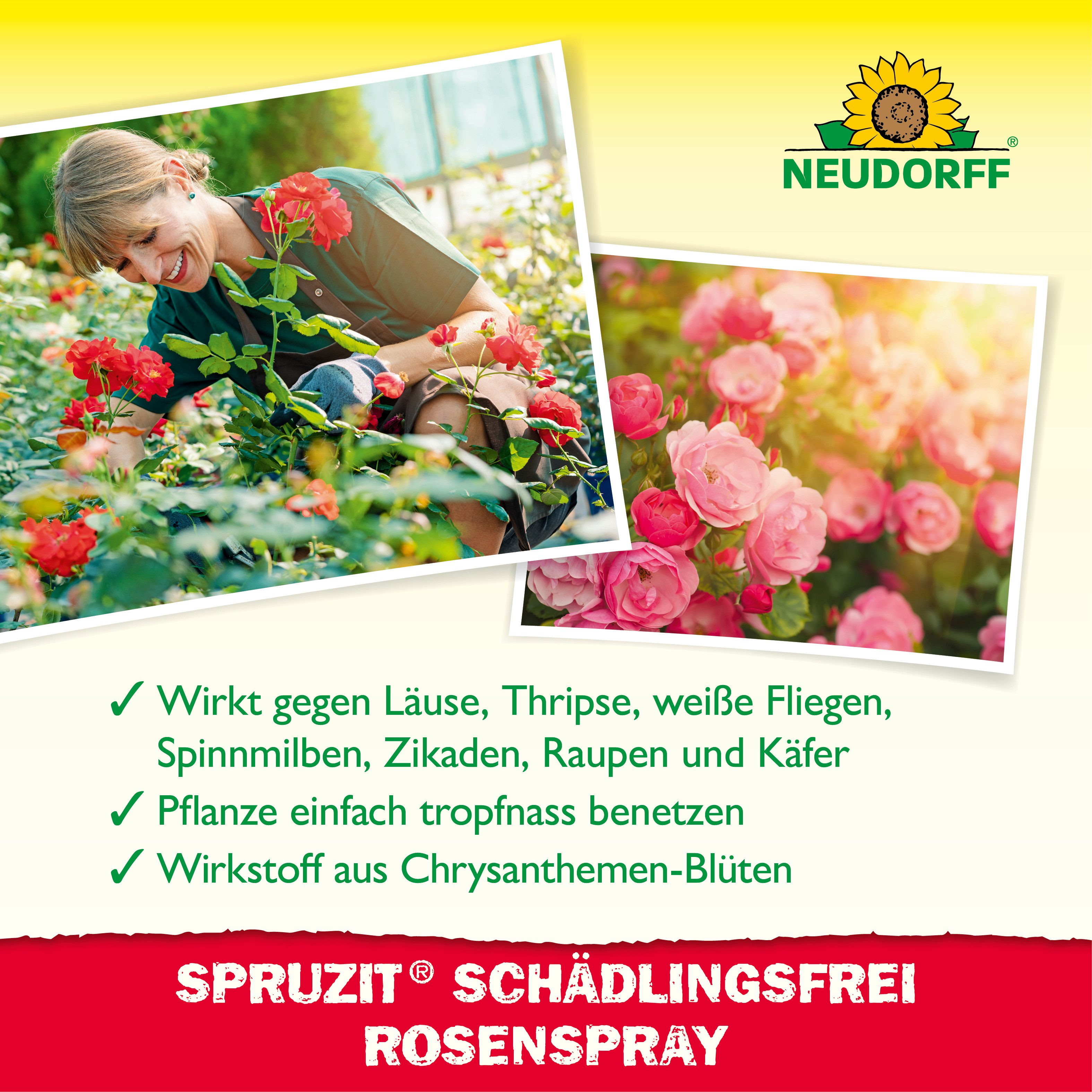 Neudorff Insektenspray Spruzit AF Schädlingsfrei RosenSpray 750 ml, 0.75 l, Für Rosen & Zierpflanzen im Freiland, Anwendungsfertiges Spray gegen Schädlinge an R – Bild 4 von 5