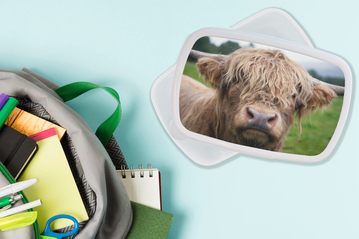 Kunststoff, - für Nahaufnahme, Brotdose, Highlander-Kuh für Lunchbox Kinder Schottische weiß Landschaft Erwachsene, und und Jungs (2-tlg), Brotbox - Mädchen MuchoWow
