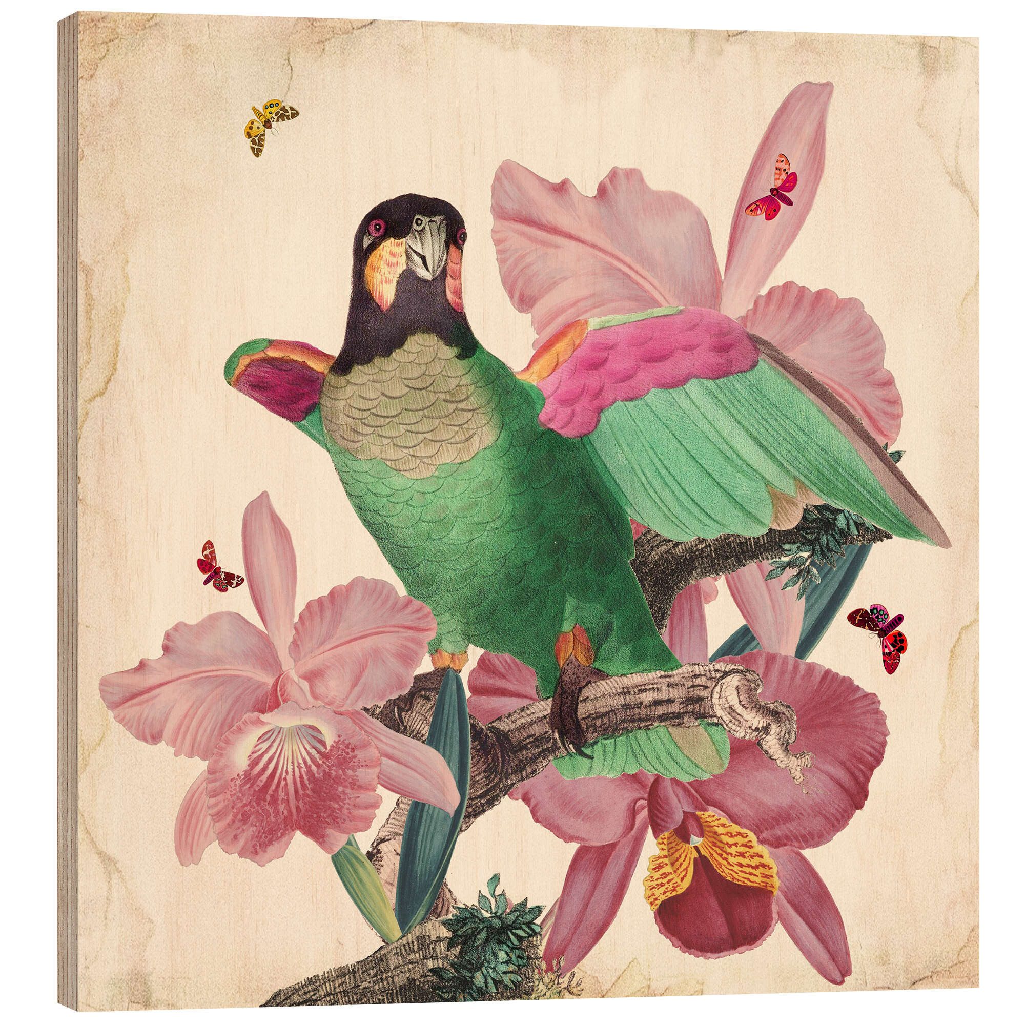 Posterlounge Holzbild Mandy Reinmuth, Exotische Papageien VIII, Wohnzimmer Landhausstil Malerei