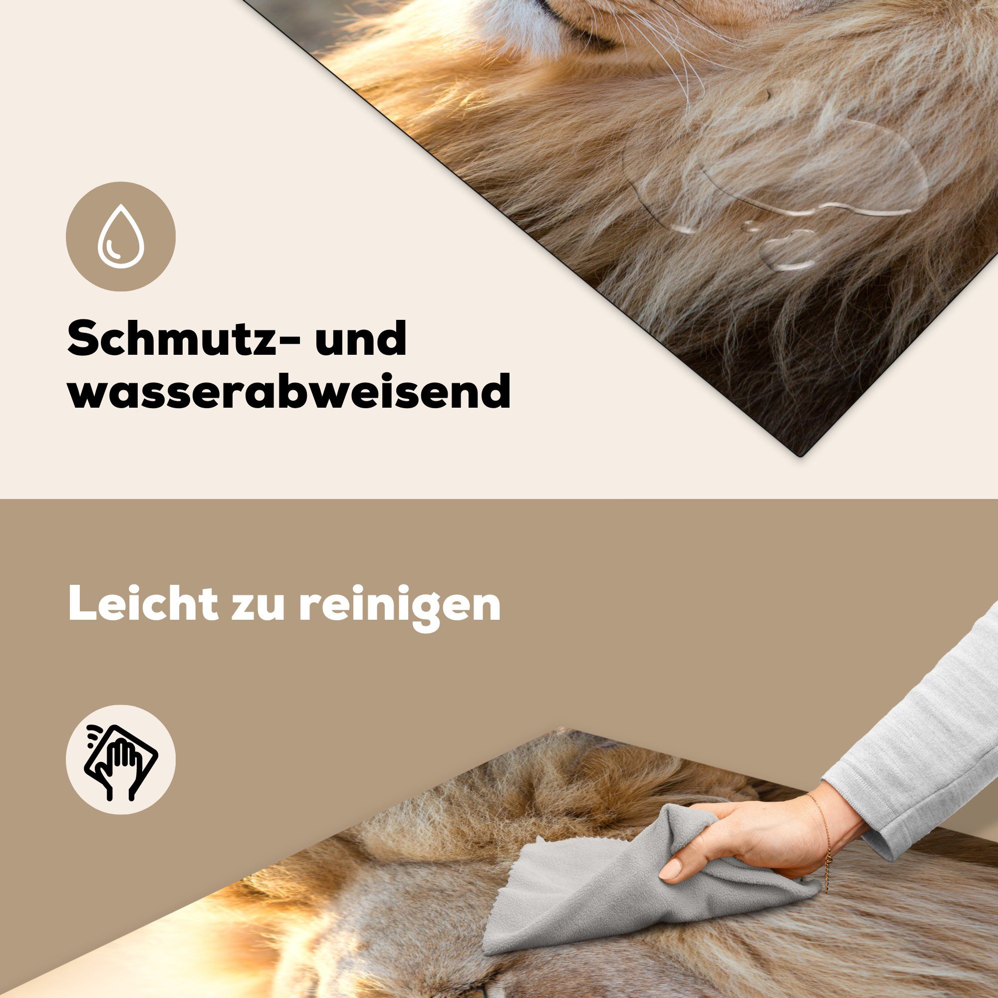 - MuchoWow tlg), cm, Herdblende-/Abdeckplatte Tiere, 78x78 Ceranfeldabdeckung, Vinyl, küche Profil- für (1 Arbeitsplatte Löwe