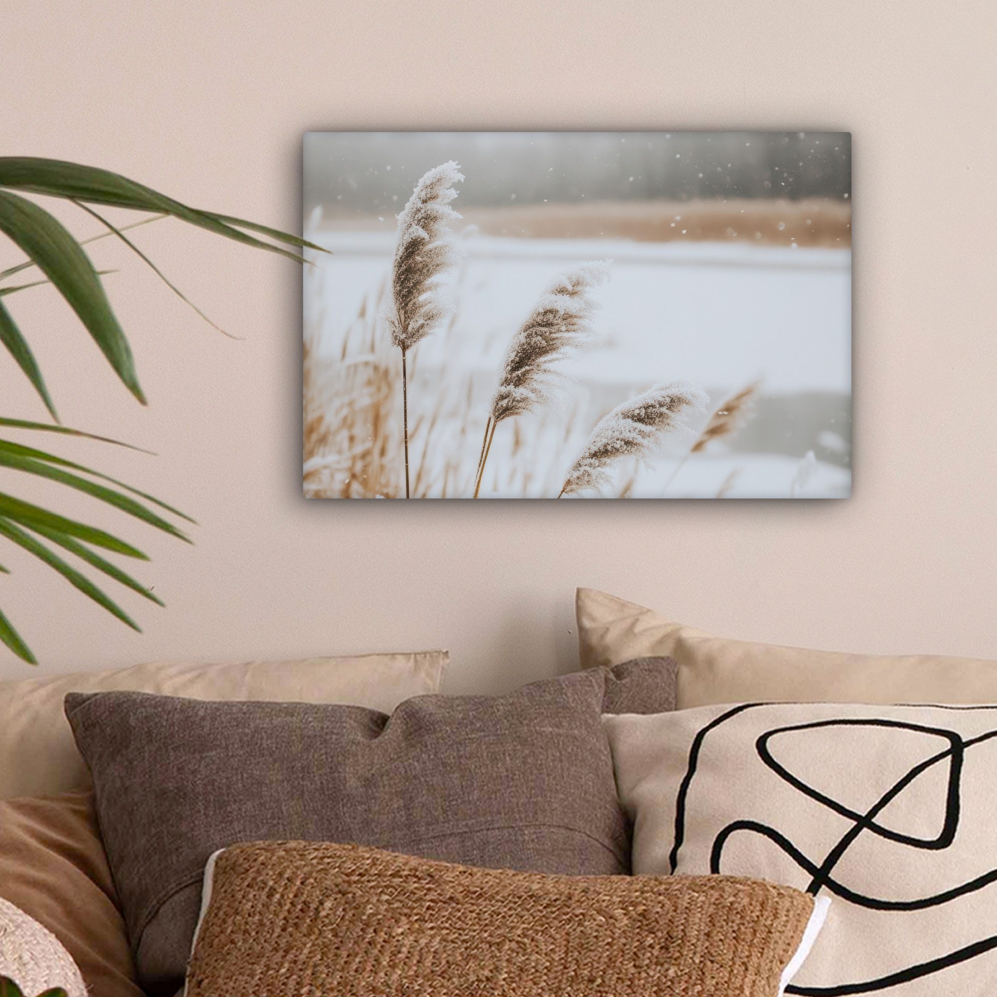 OneMillionCanvasses® Leinwandbild Schilf - See - Winter - Natur - Schnee - günstig online kaufen