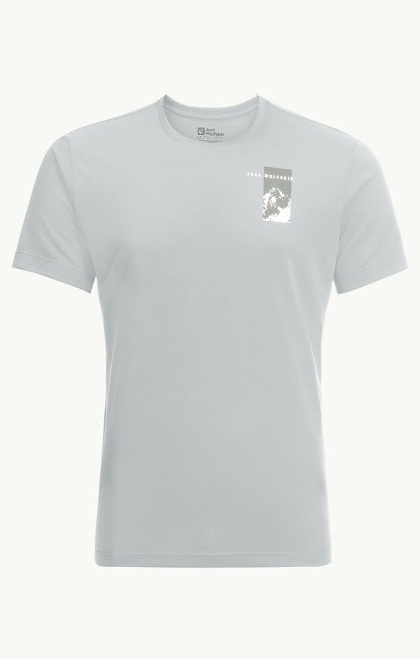 T-Shirt VONNAN S/S GRAPHIC T M COOL GREY