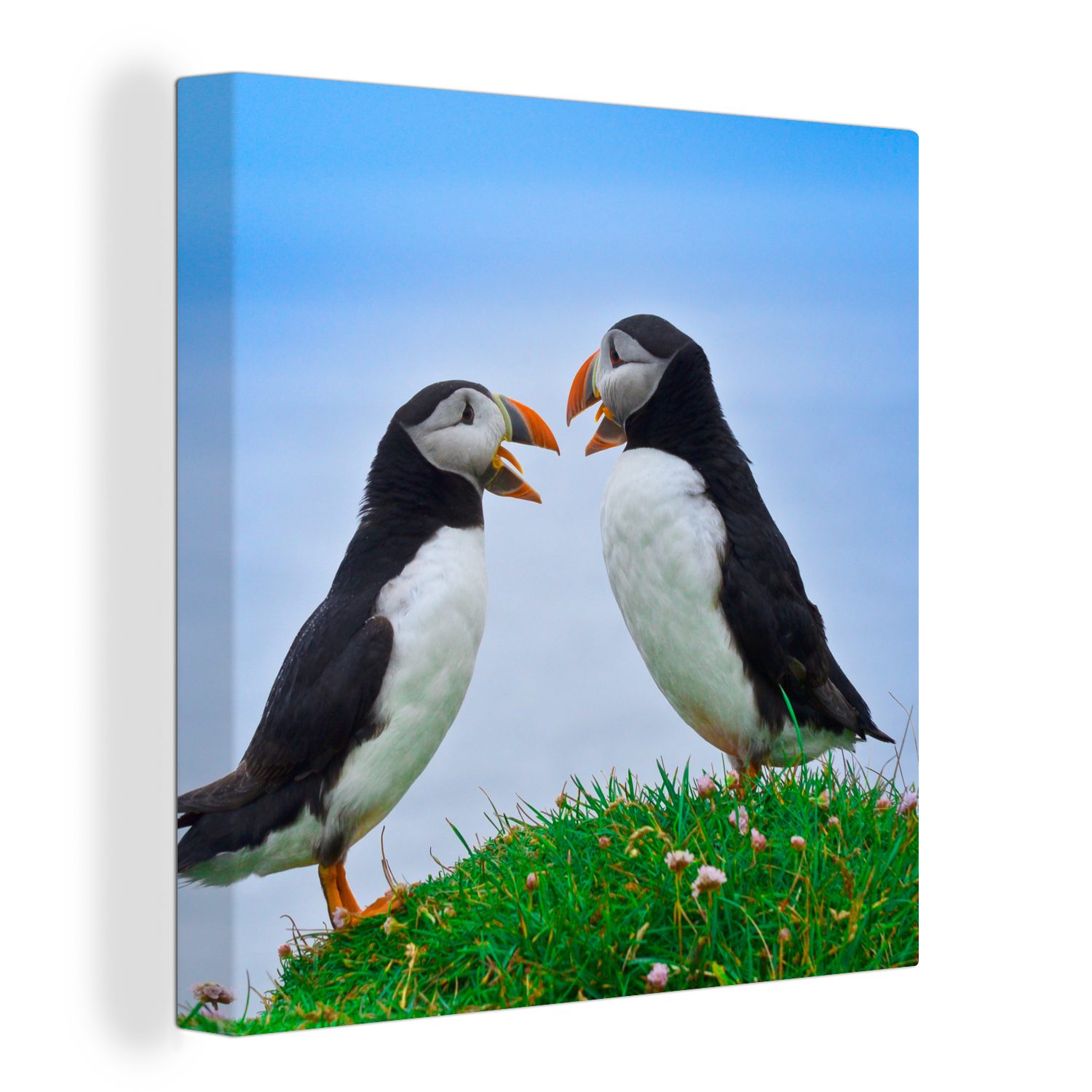 OneMillionCanvasses® Leinwandbild Tiere - Vögel - Papageientaucher, (1 St), Leinwand Bilder für Wohnzimmer Schlafzimmer | Leinwandbilder