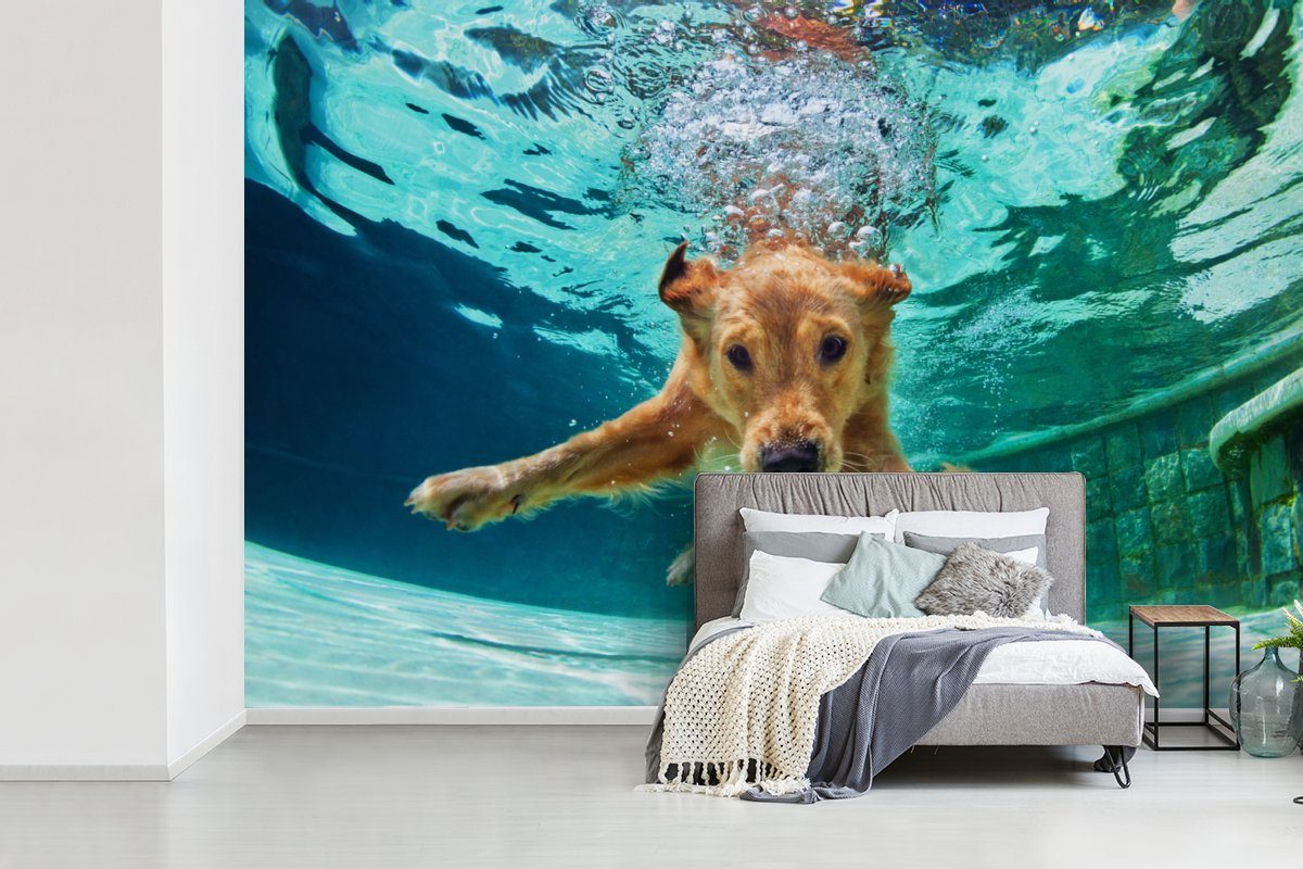 bedruckt, Matt, Hund (6 MuchoWow Vinyl Wallpaper Kinderzimmer, Wohnzimmer, - St), Schlafzimmer, Pool - Wasser, für Fototapete Tapete