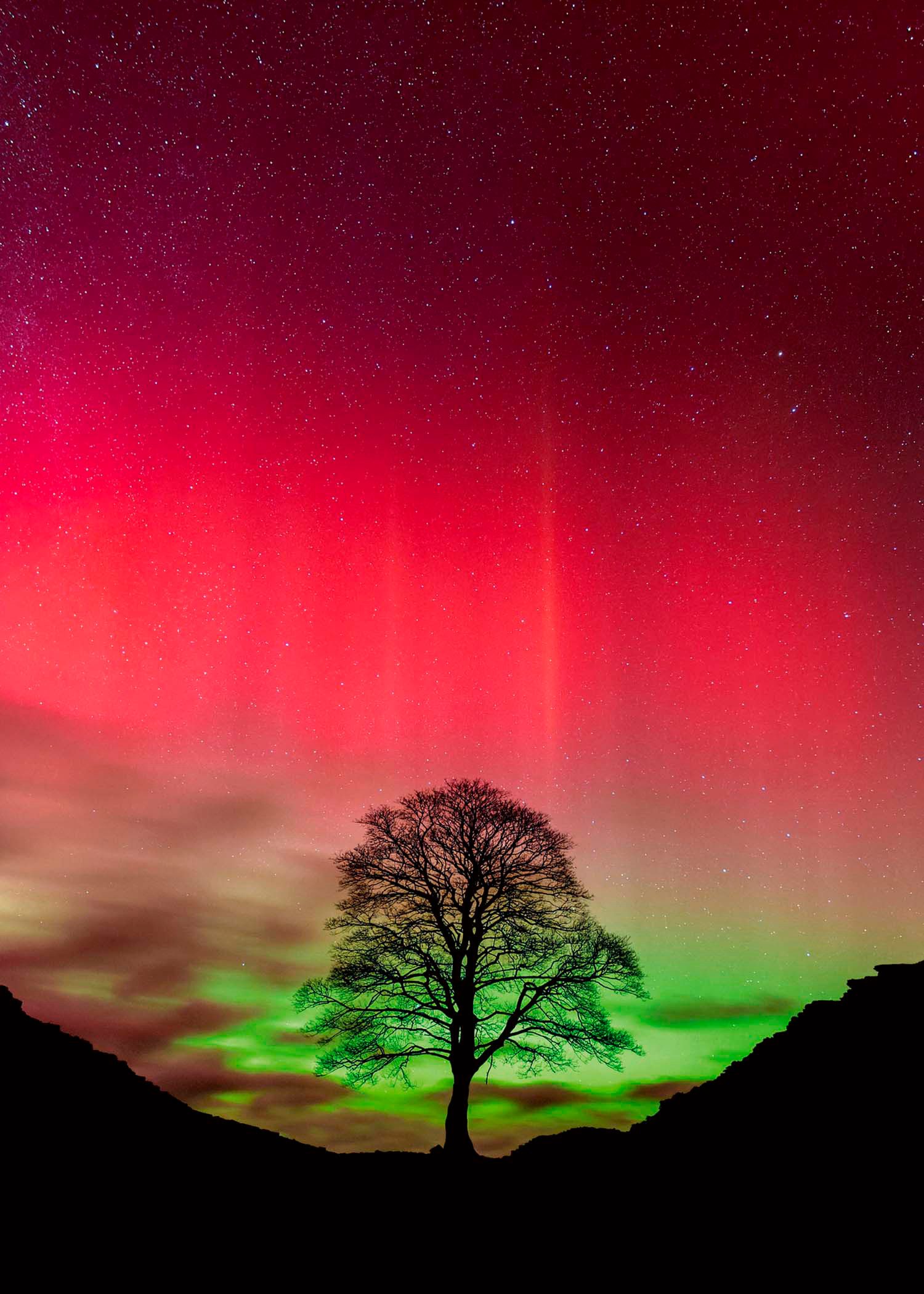 HEYE Puzzle Sycamore Gap / Power of Nature, 1000 Puzzleteile, Made in Germa günstig online kaufen