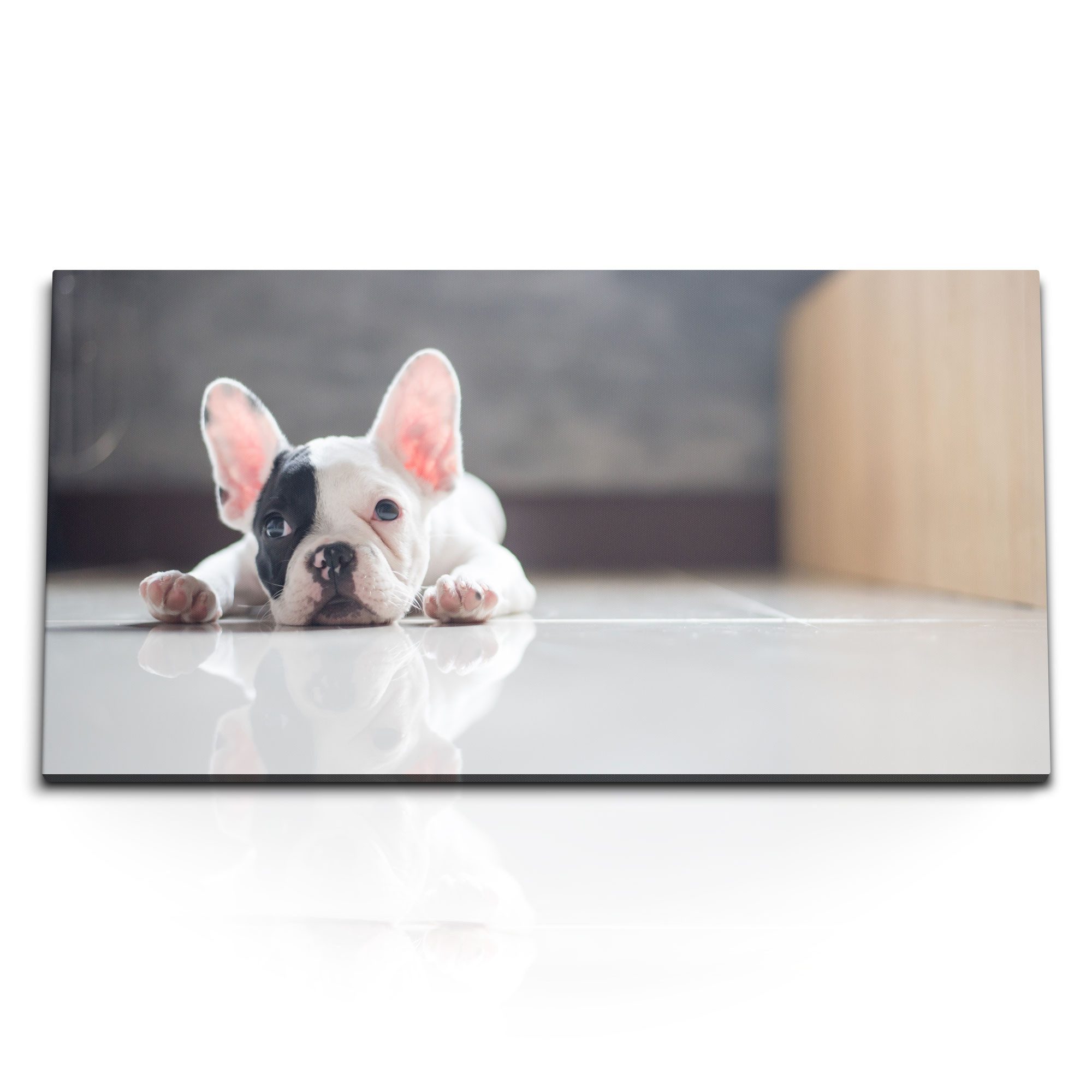 Leinwandbild Kunstdruck Bilder 120x60cm Hund Welpe Französische Bulldogge Süß