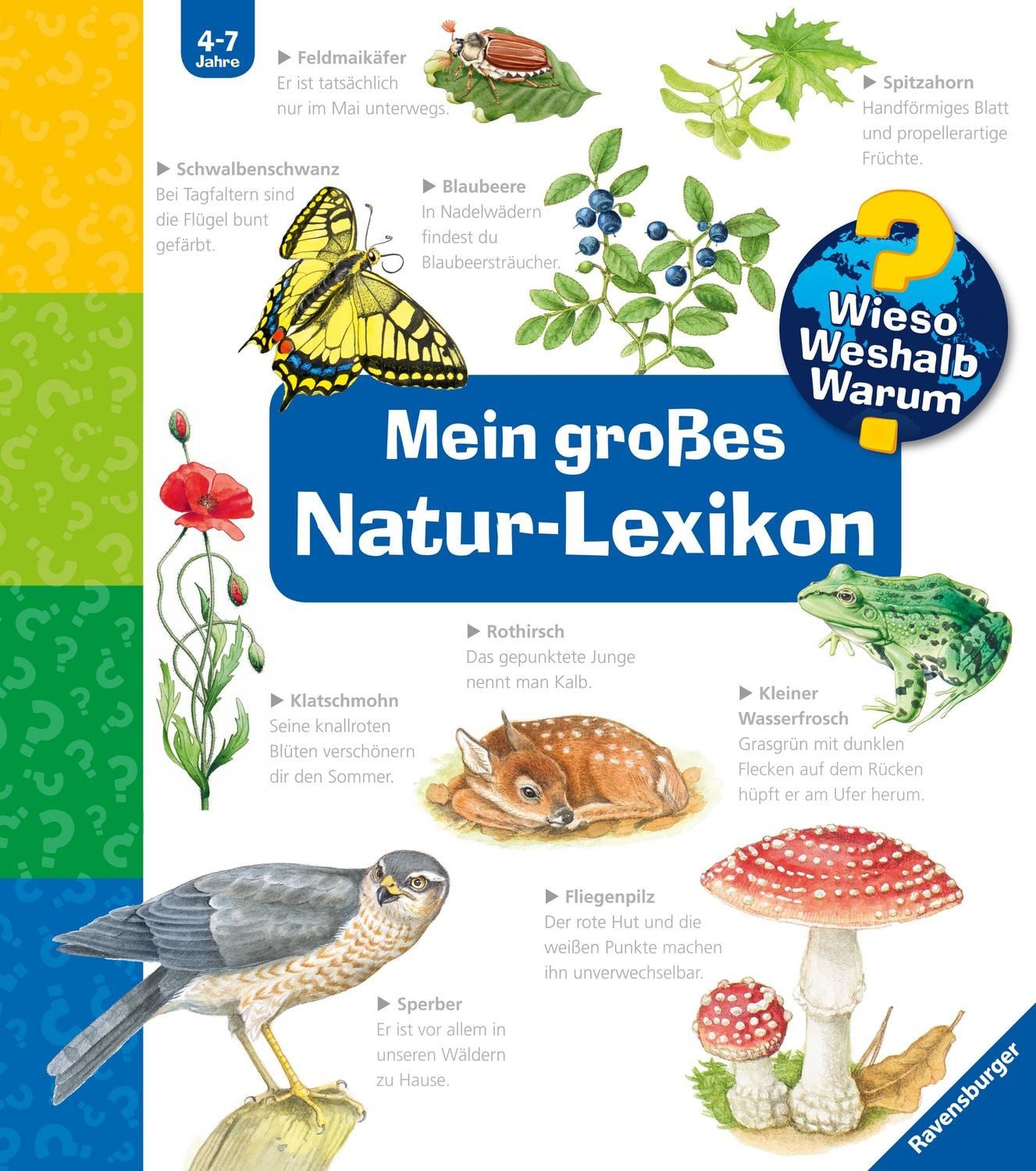 Wieso? Weshalb? Warum? Sonderband - Mein großes Natur-Lexikon / Sandra Noa