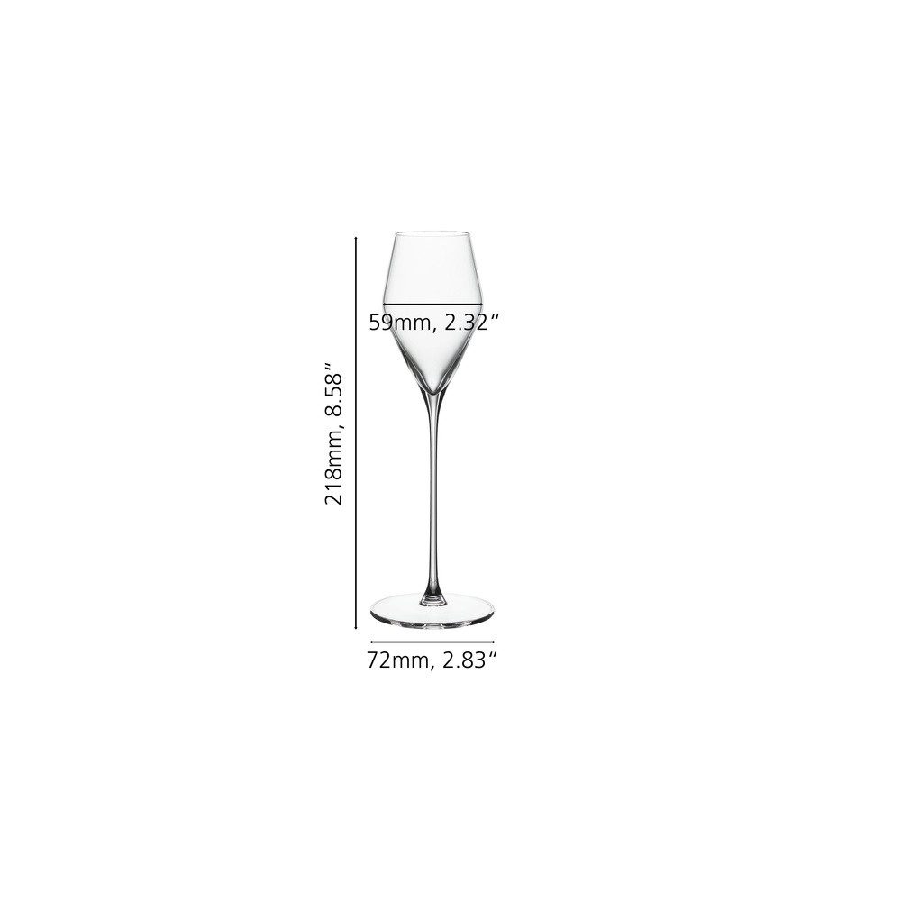 SPIEGELAU Schnapsglas Spiegelau Definition Digestif Glas 130 ml 2er Set, Glas