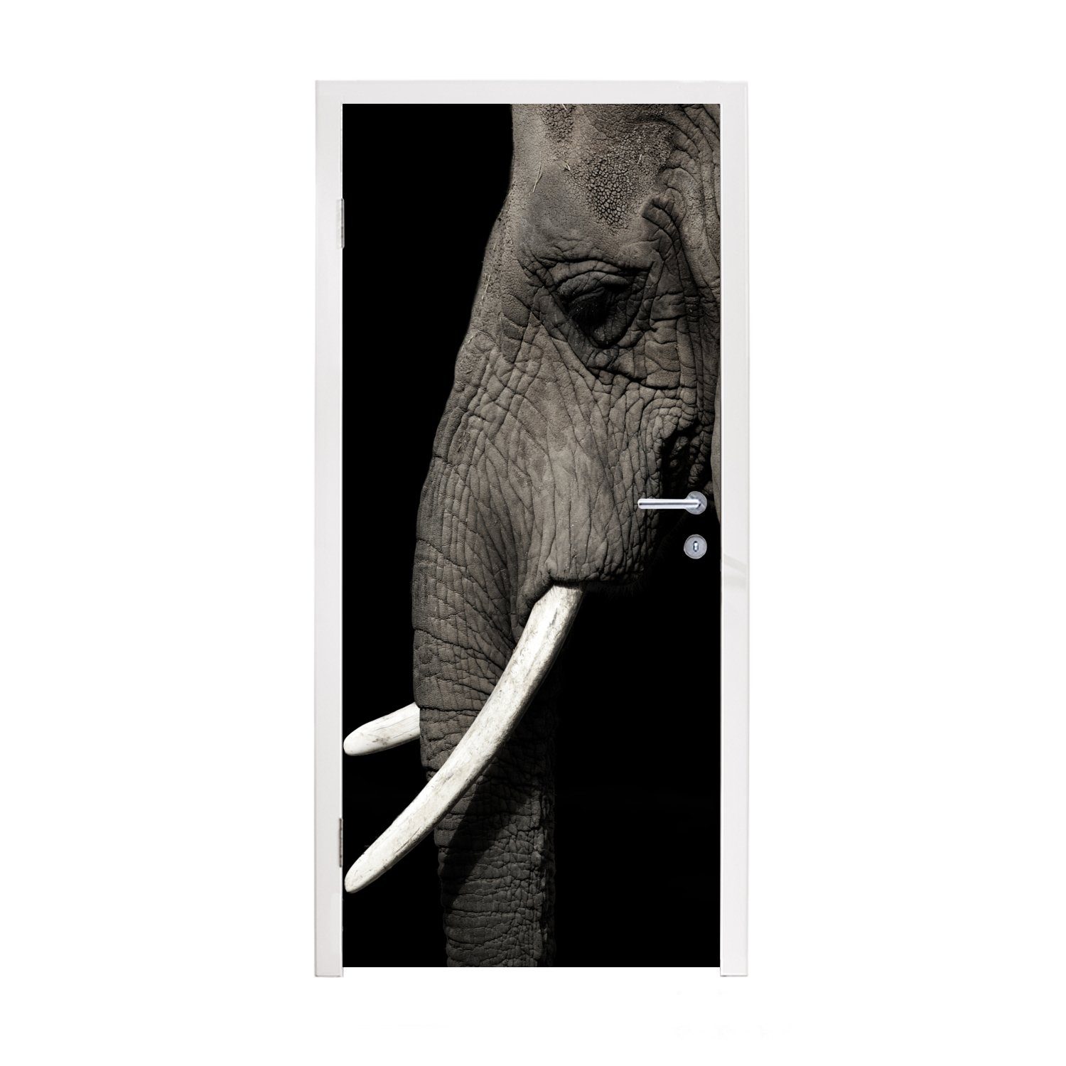 MuchoWow Türtapete Elefant - Tier - Stoßzahn, Matt, bedruckt, (1 St), Fototapete für Tür, Türaufkleber, 75x205 cm