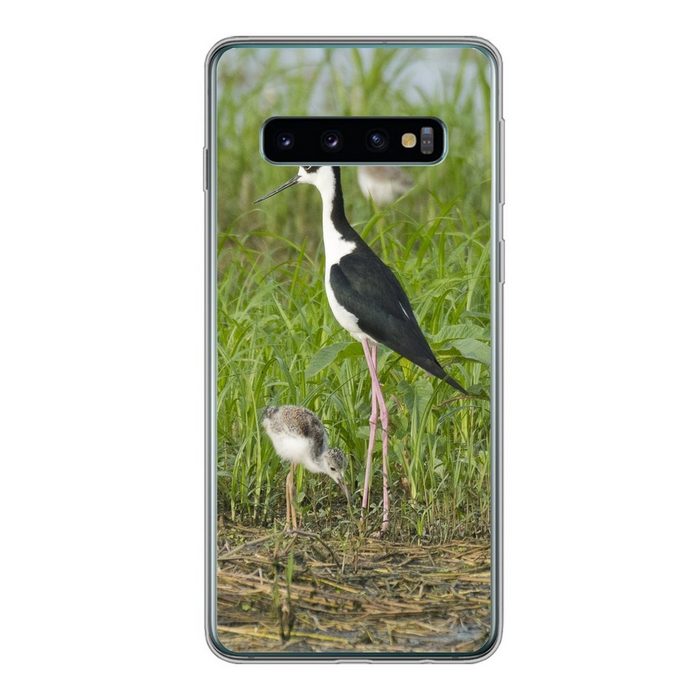 MuchoWow Handyhülle Vogel - Gras - Küken - Sumpf Phone Case Handyhülle Samsung Galaxy S10 Silikon Schutzhülle