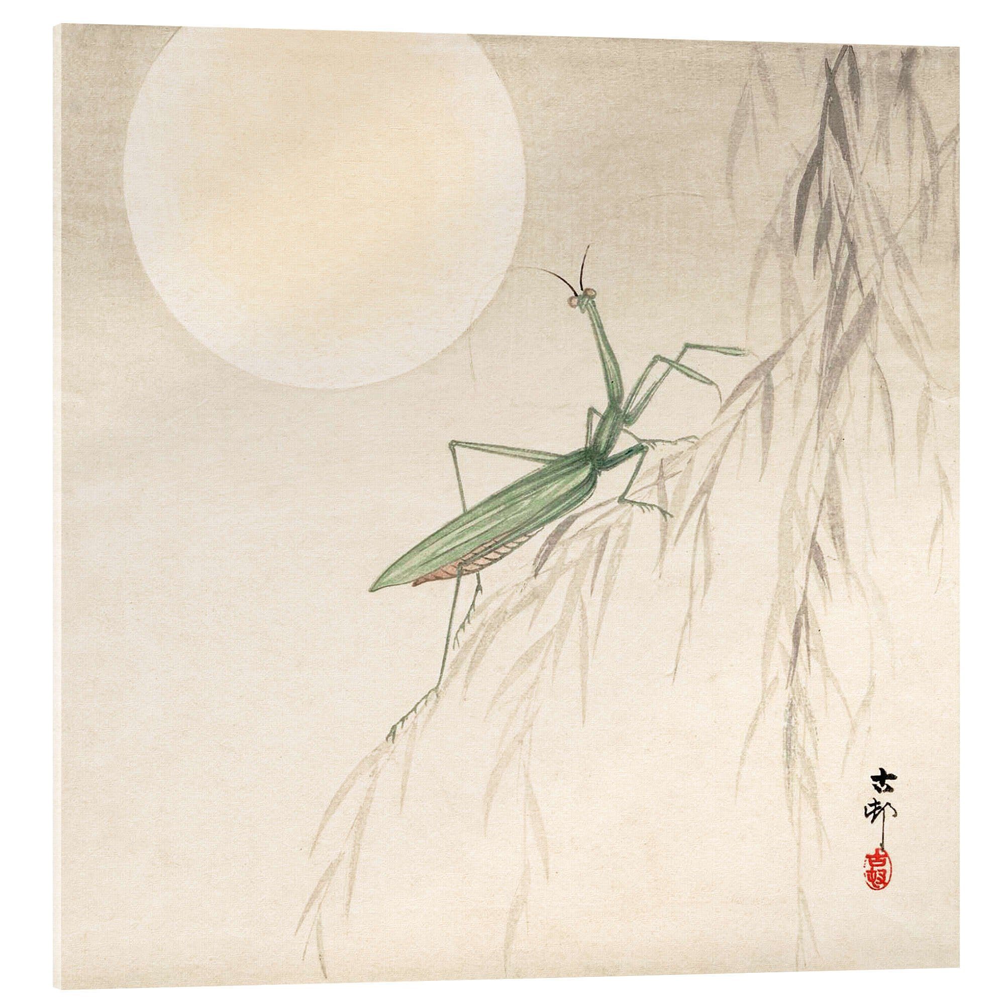 Posterlounge Acrylglasbild Ohara Koson, Gottesanbeterin auf einem Weiden Zweig, Wohnzimmer Japandi Malerei
