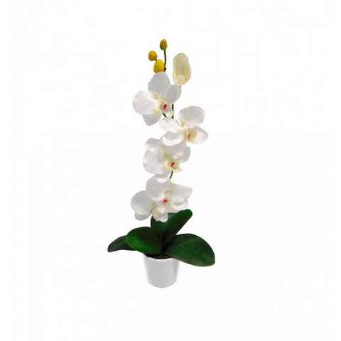 Kunstorchidee Orchidee kunstblumen Orchideen künstlich orchideentopf kunstblumen 601 Orchidee künstlich, PassionMade, Höhe 50 cm, künstliche Orchidee im Topf wie echt