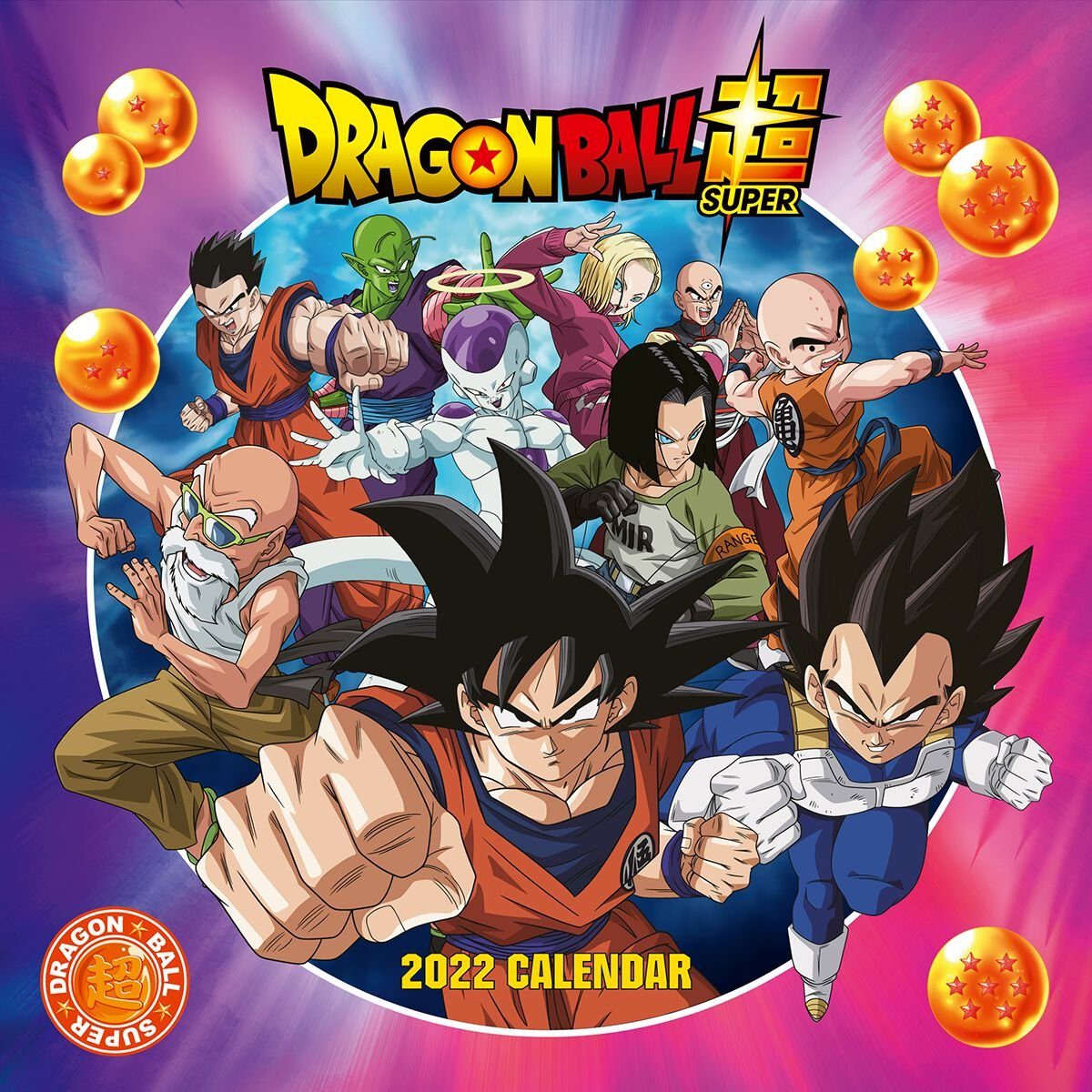 Danilo Monatskalender Dragon Ball Super - 2022 Kalender - ca. 60 cm x 30 cm