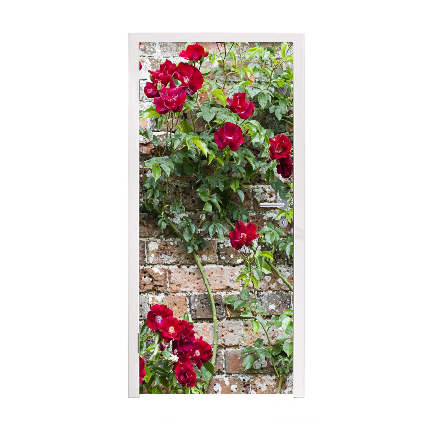 MuchoWow Türtapete Kletterpflanze mit roten Blüten an einer Steinmauer, Matt, bedruckt, (1 St), Fototapete für Tür, Türaufkleber, 75x205 cm
