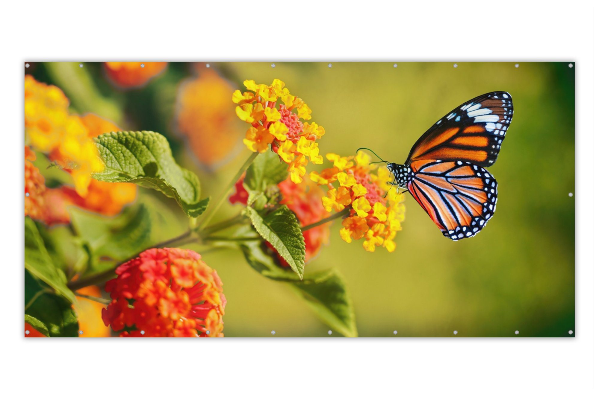 MuchoWow Balkonsichtschutz Schmetterling - Insekten - Blumen - Gelb (1-St) Balkonbespannung mit Metalösen, UV-beständig, Balkonbanner