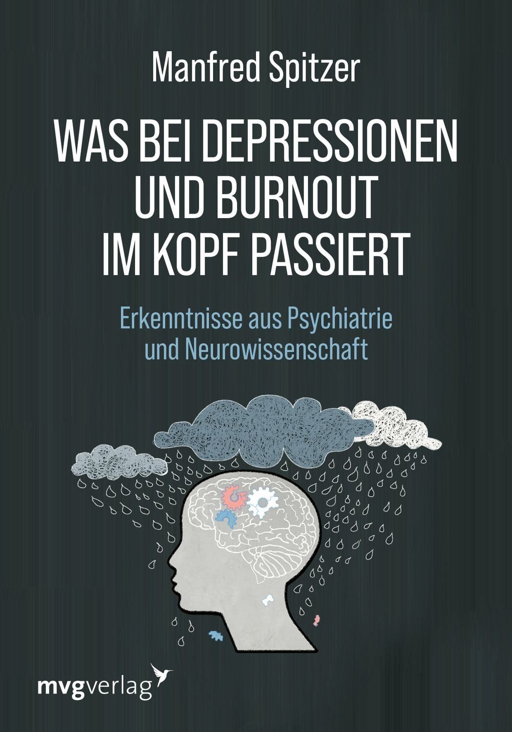 Ratgeber Was bei Depressionen und Burnout im Kopf passiert Erkenntnisse aus Psy Manfred Spitzer
