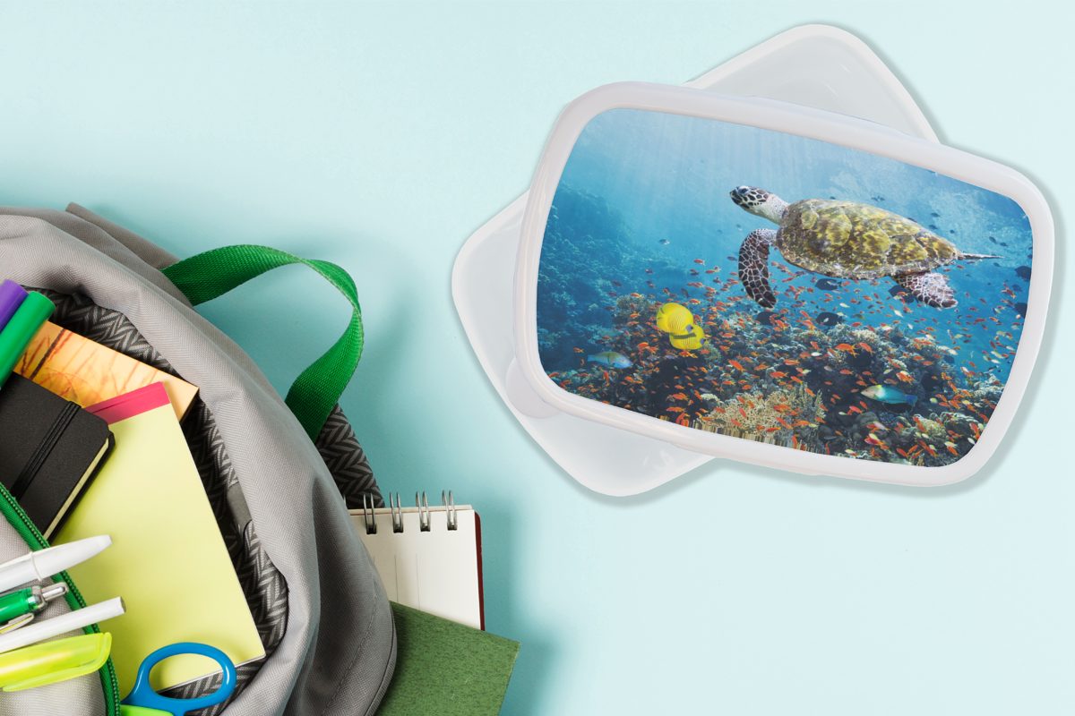 weiß Kunststoff, und und Korallenriff, (2-tlg), Schildkröte Kinder am Jungs Lunchbox für Brotdose, Erwachsene, MuchoWow für Mädchen Brotbox