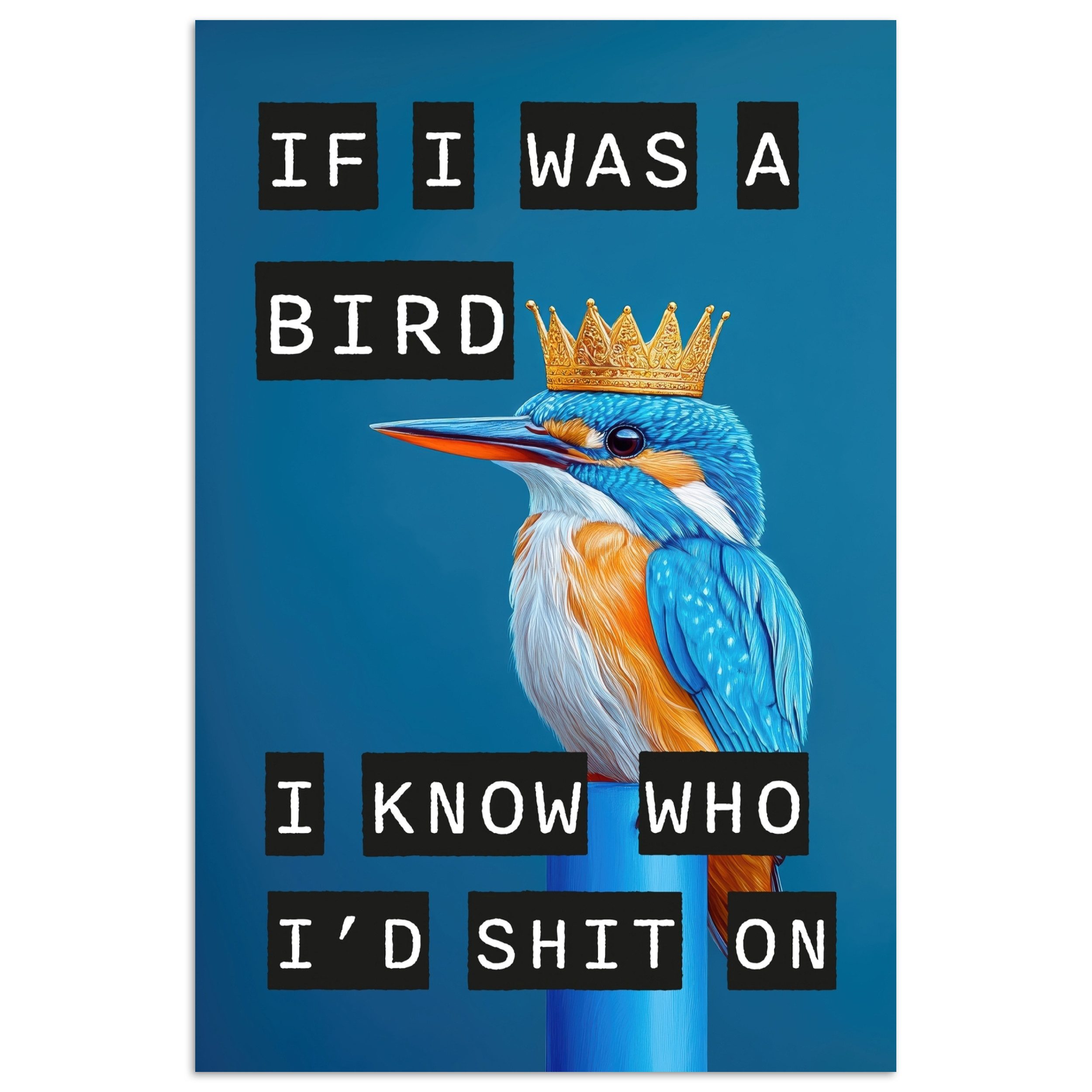 Text - Eisvogel - Blau