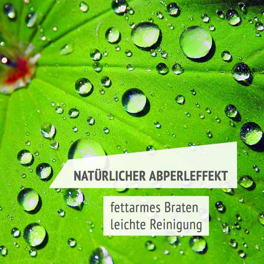 INDUKTION Gundel Bratpfanne Griff+Deckel Pfannen Flachpfanne Ø20cm +abnehm.