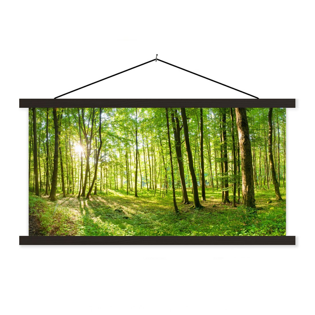 Poster Natur - Bäume - Wald - Grün - Sonnenlicht