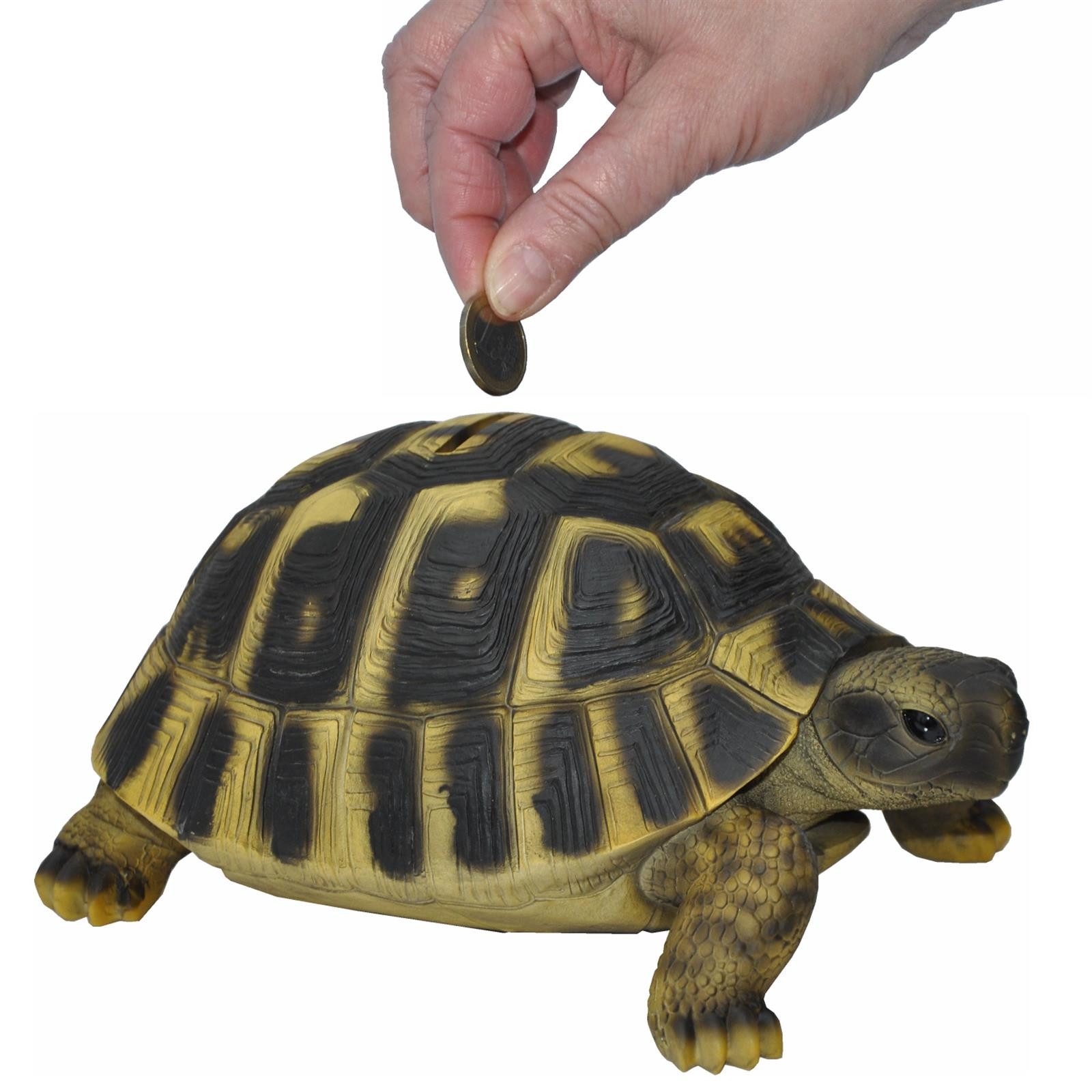 dazikemo Gartenfigur Spardose Sparschwein große Schildkröte