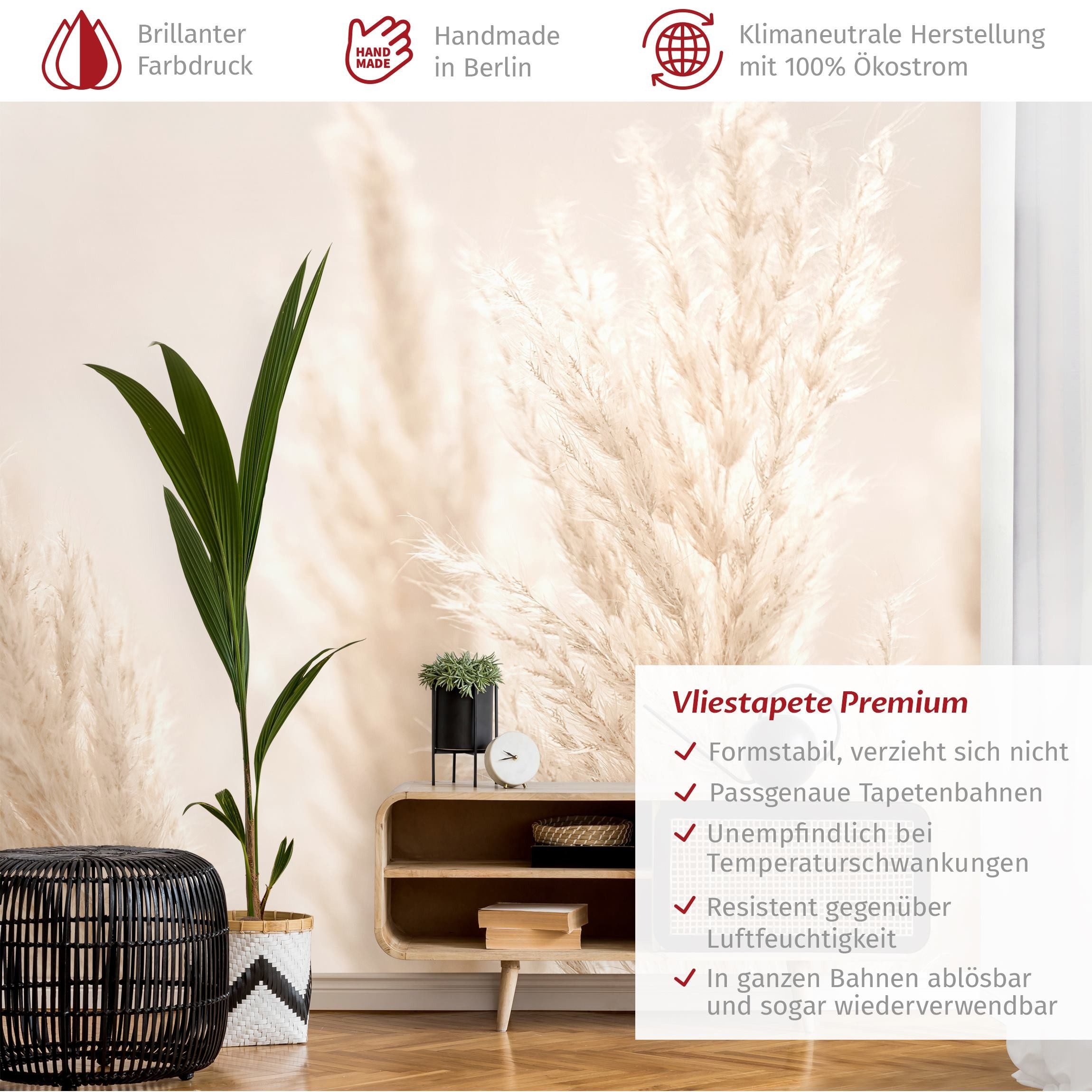 Bilderdepot24 Fototapete Blumen Pampasgras Sonnenlicht Blumentapete günstig online kaufen