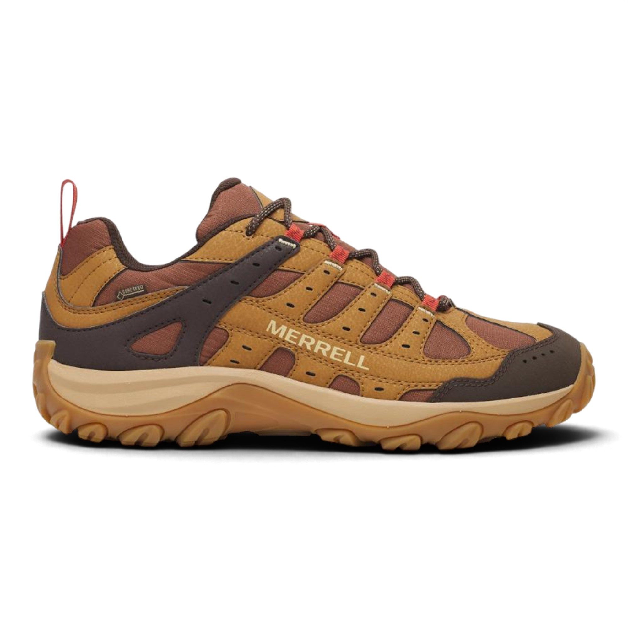 Merrell Accentor 4 Sport GTX (Synthetik/Mesh, wasserdicht) braun Herren Wanderschuh