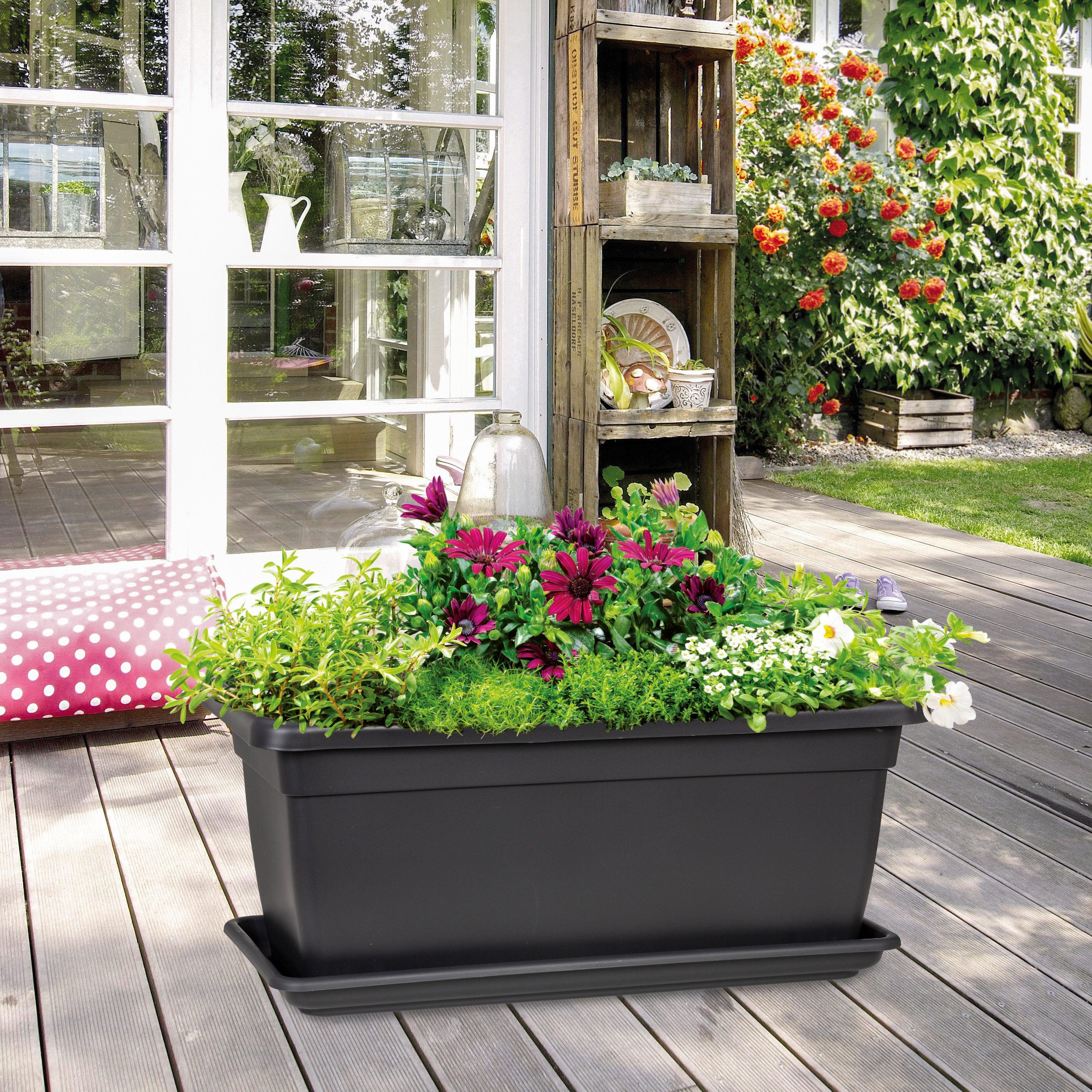 Scheurich Pflanzkübel für ideale Pflege ohne Staunässe, mit Wasserreservoir günstig online kaufen