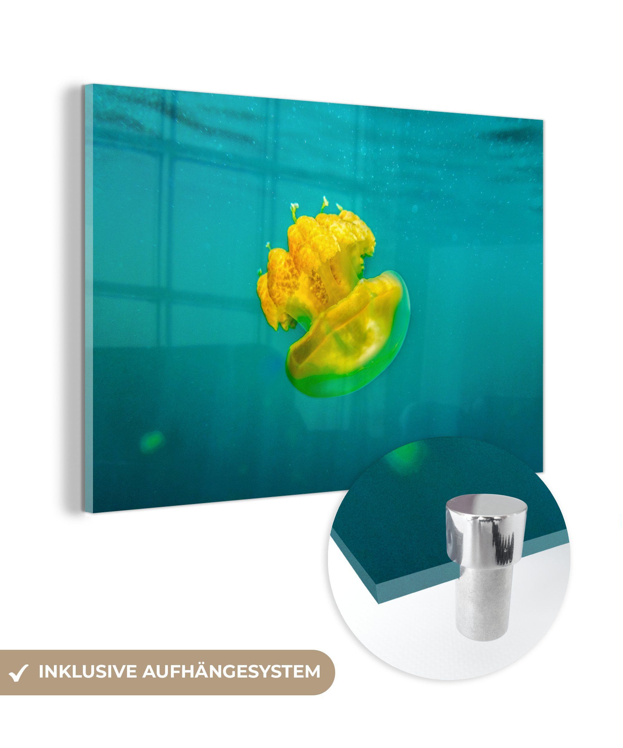 MuchoWow Acrylglasbild Qualle - Gold - Ozeanien, (1 St), Acrylglasbilder Wohnzimmer & Schlafzimmer