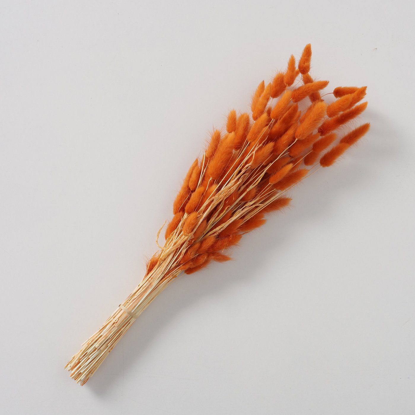 Trockenblume 3er-Pack Samtgras, Dekozweige, echte getrocknete Blumen, BOLTZE