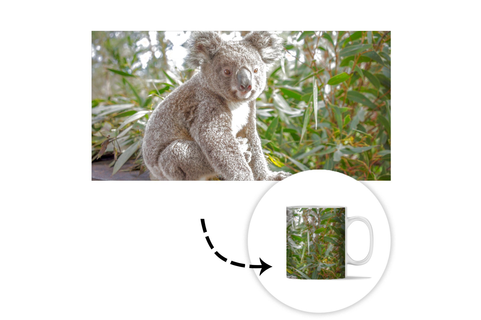 - Becher, Koala - Keramik, Jungen Regal Teetasse, - - Kinder Kaffeetassen, Geschenk Pflanzen Mädchen, MuchoWow - Teetasse, Tasse