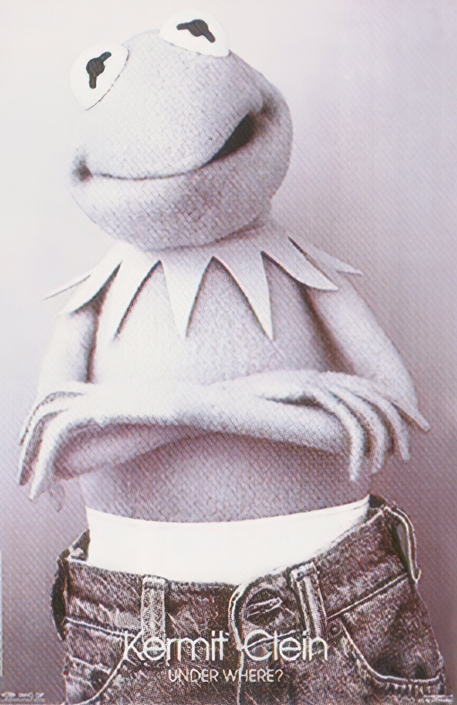 Close Up Poster Muppets Poster 53 x 81 cm