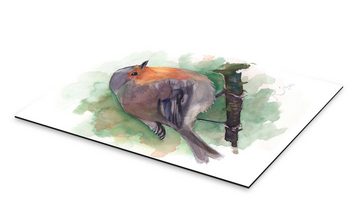 Posterlounge Alu-Dibond-Druck Verbrugge Watercolor, Rotkehlchen, Malerei