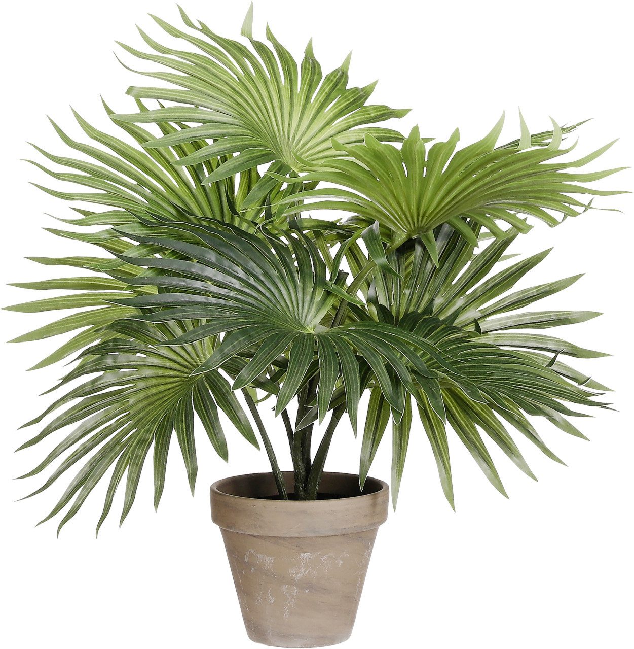 Kunstpflanze Mica Kunstpflanze Palme grün im Topf 40 cm, Mica Decorations