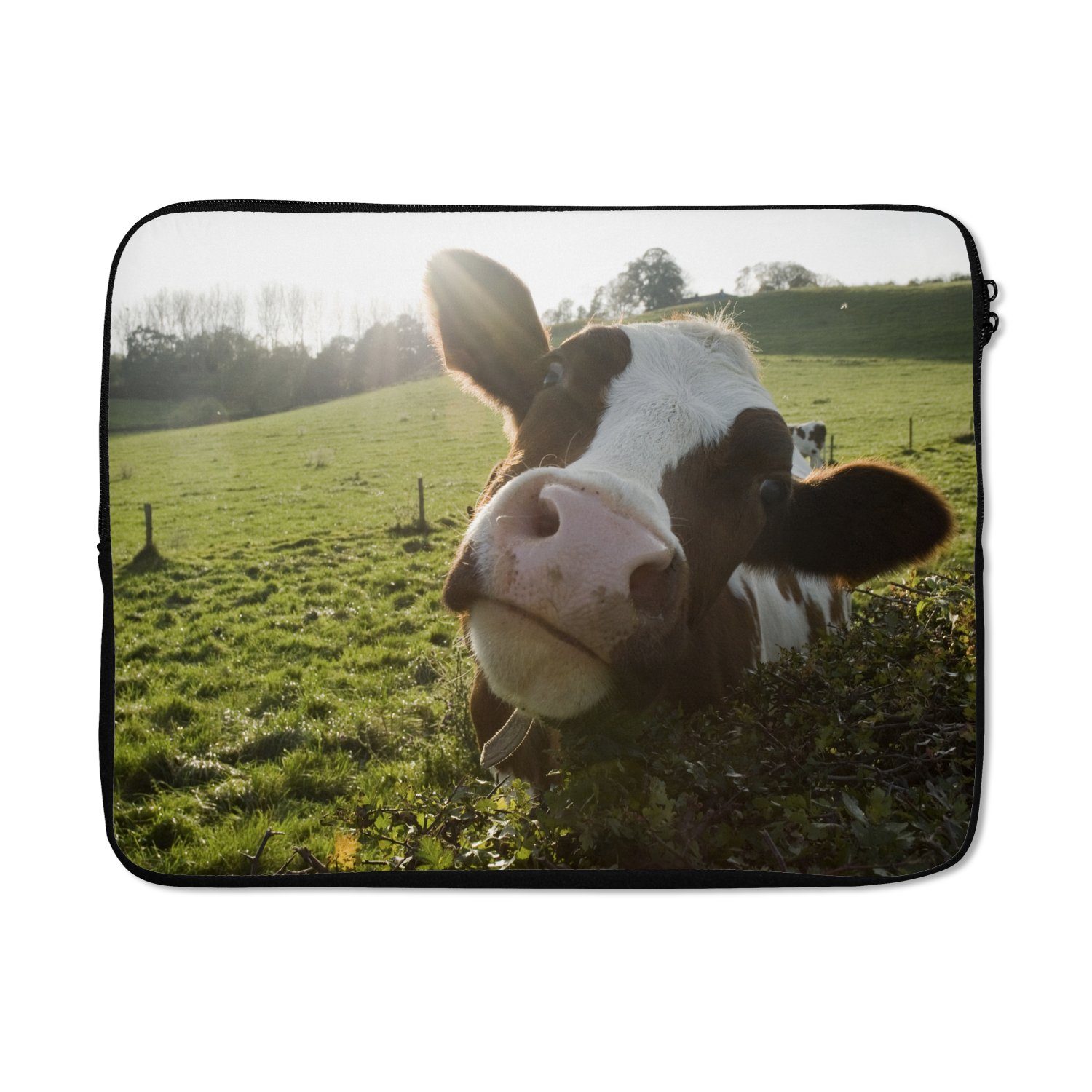 MuchoWow Laptop-Hülle Kuh - Licht - Landschaft 17 Zoll, Laptopsleeve, weiches Innenfutter zum Schutz Kratzern, Laptoptasche